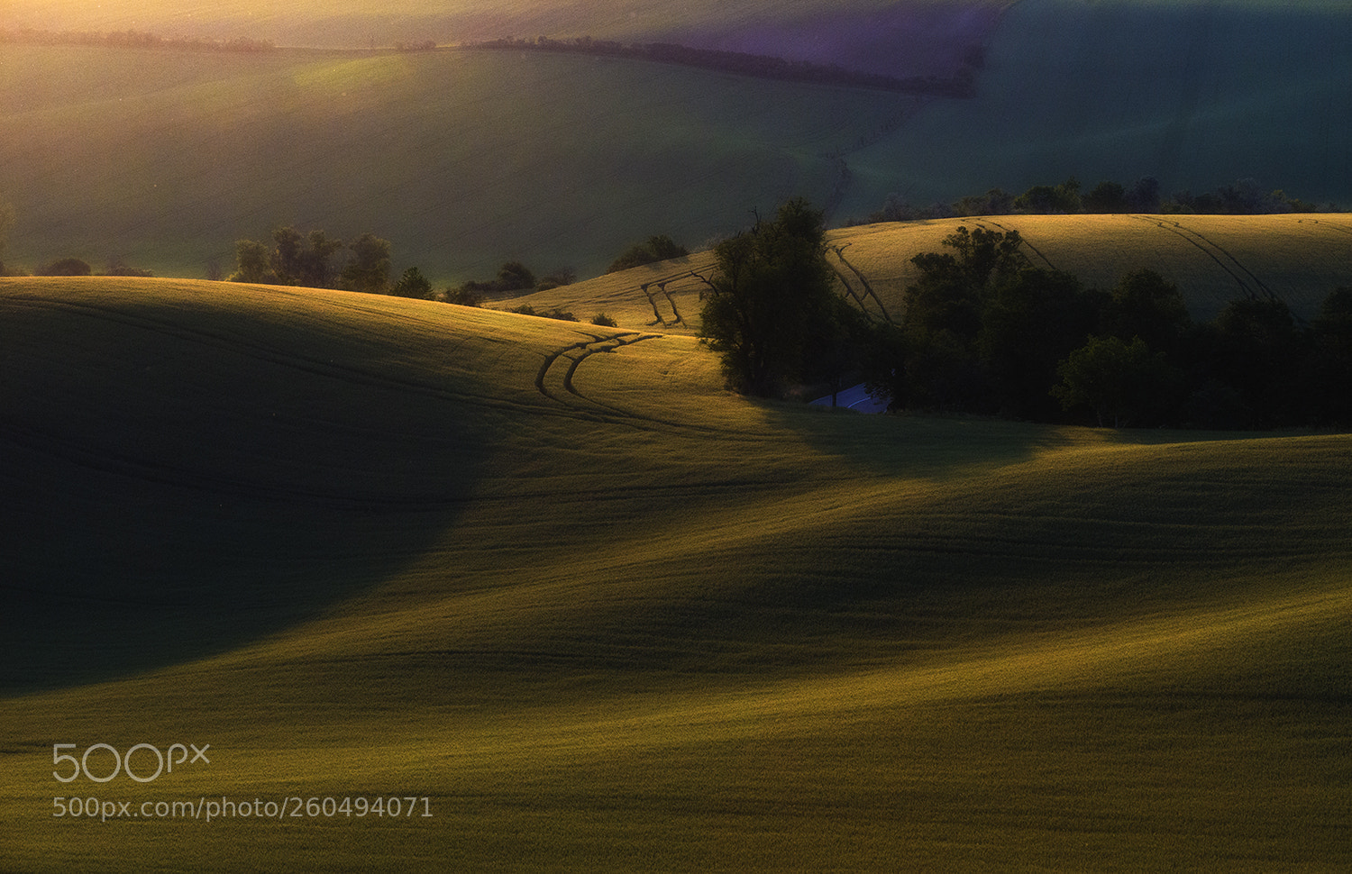 Nikon D610 sample photo. Lights  and the hills photography