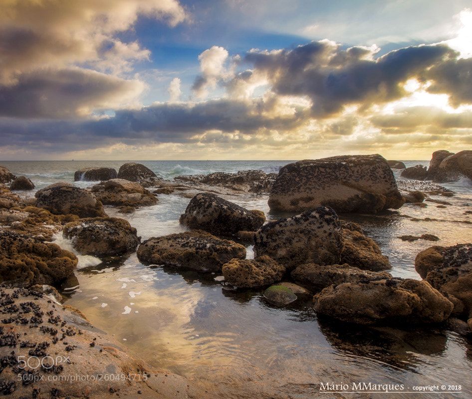 Canon EOS 60D sample photo. Praia das pedras amarelas... photography