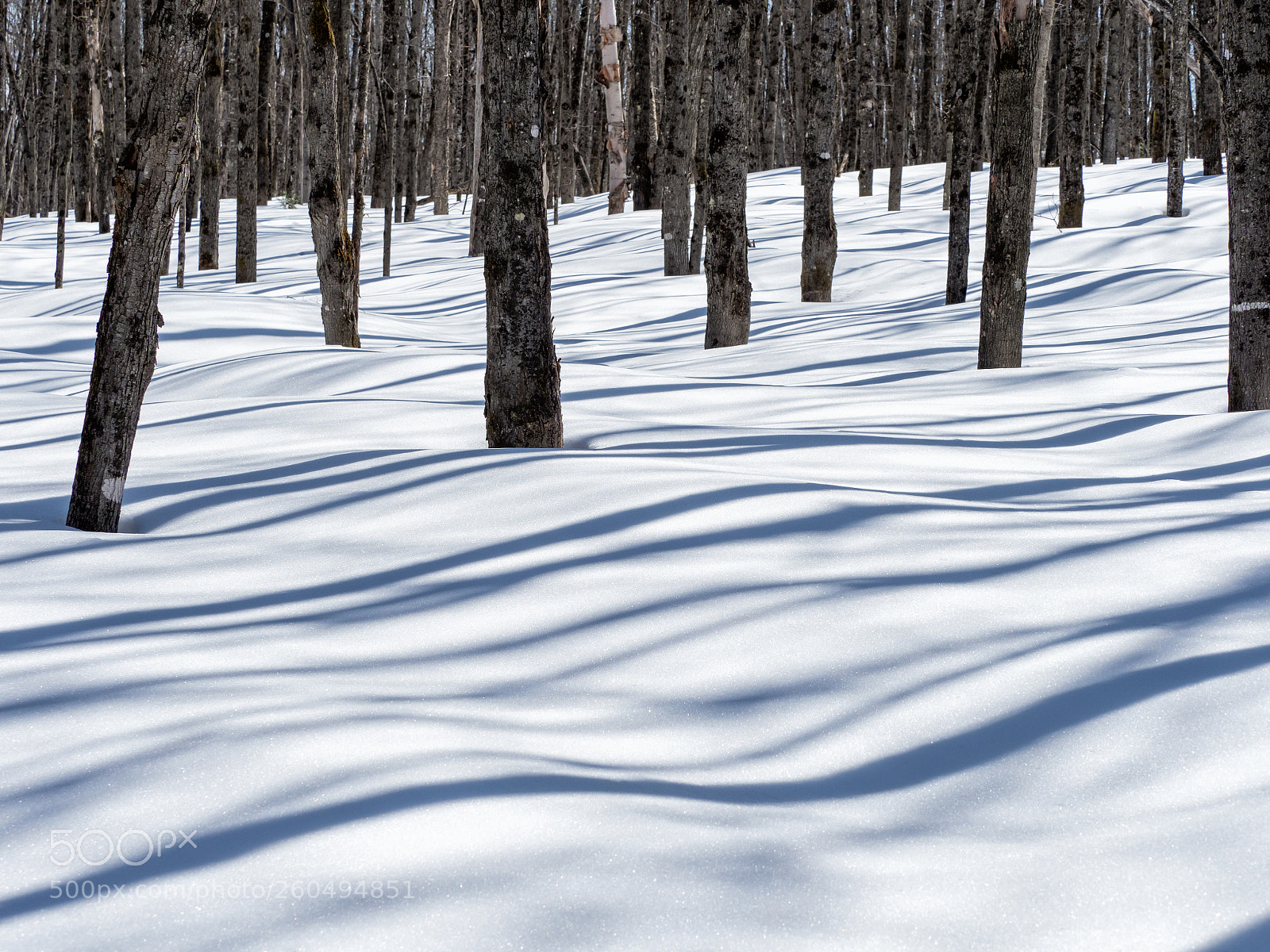 Olympus OM-D E-M1 Mark II sample photo. Les vagues de la photography