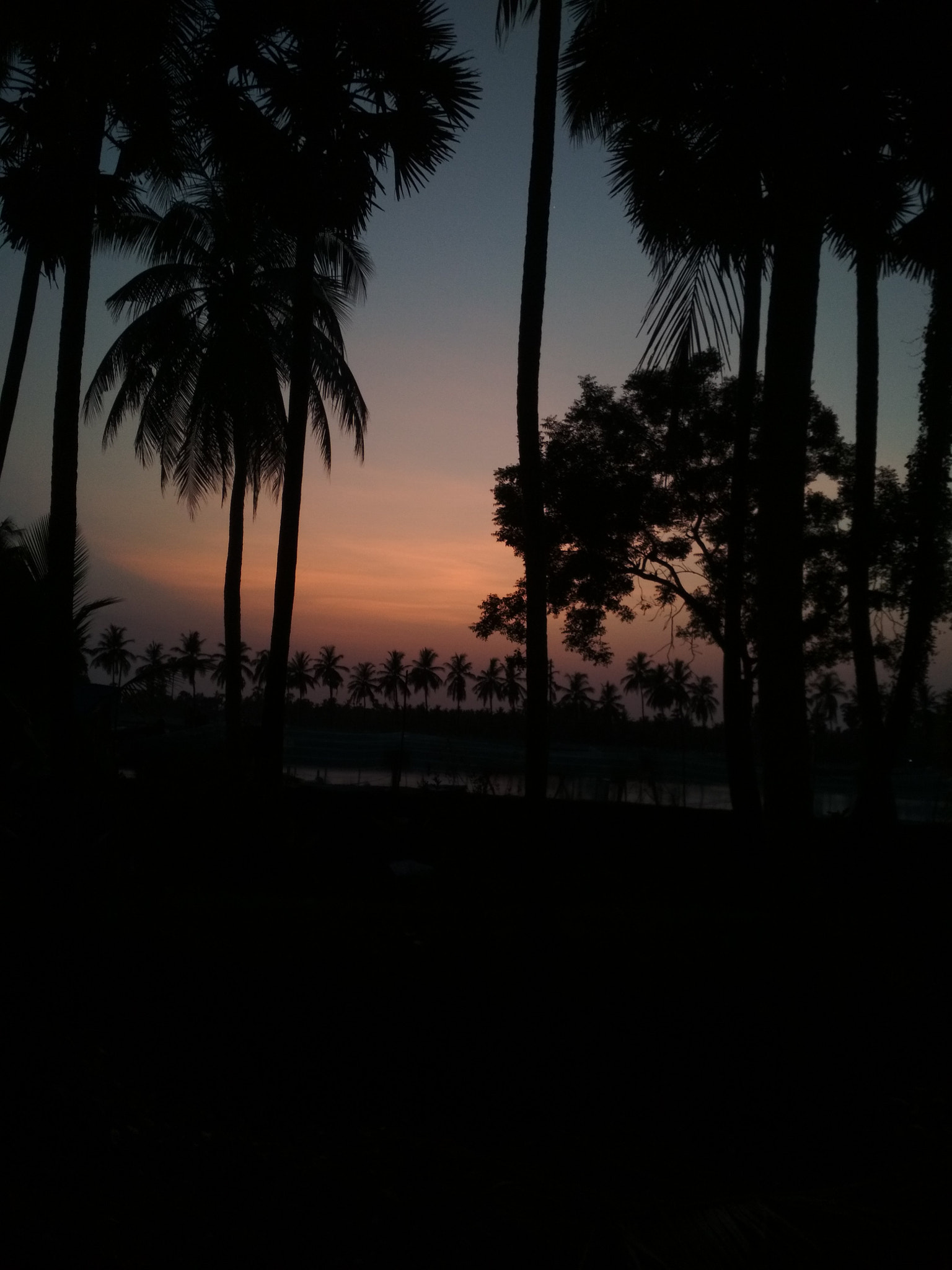 Xiaomi Redmi 4 Pro sample photo
