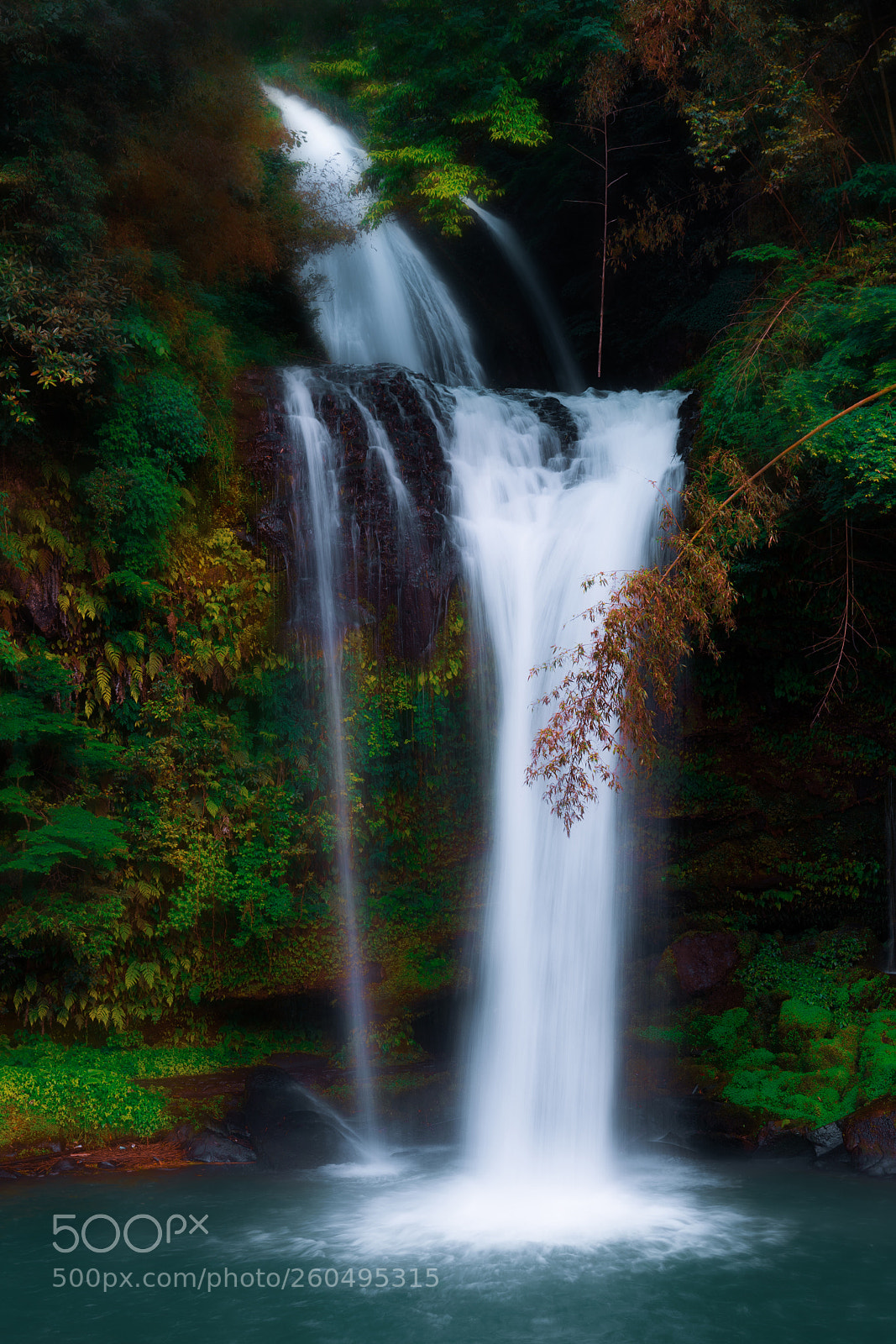 Nikon D5 sample photo. Overlap photography
