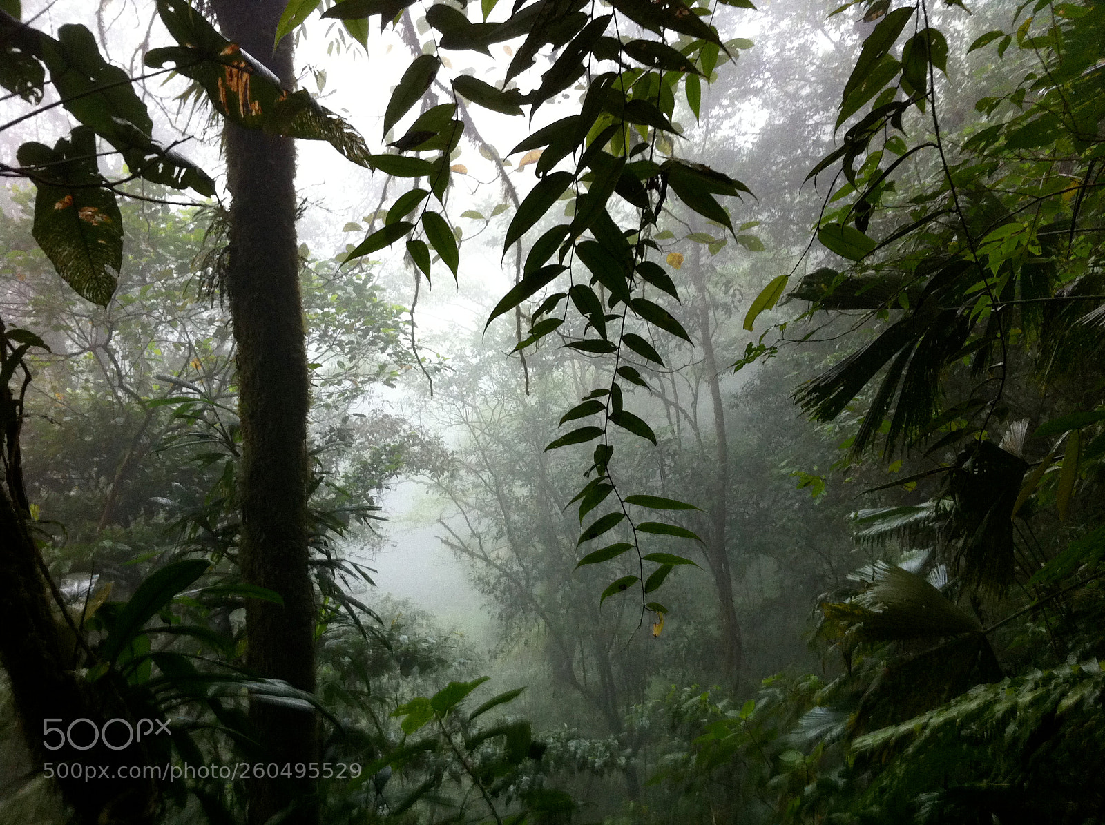 Apple iPhone 4 sample photo. Costa rica photography