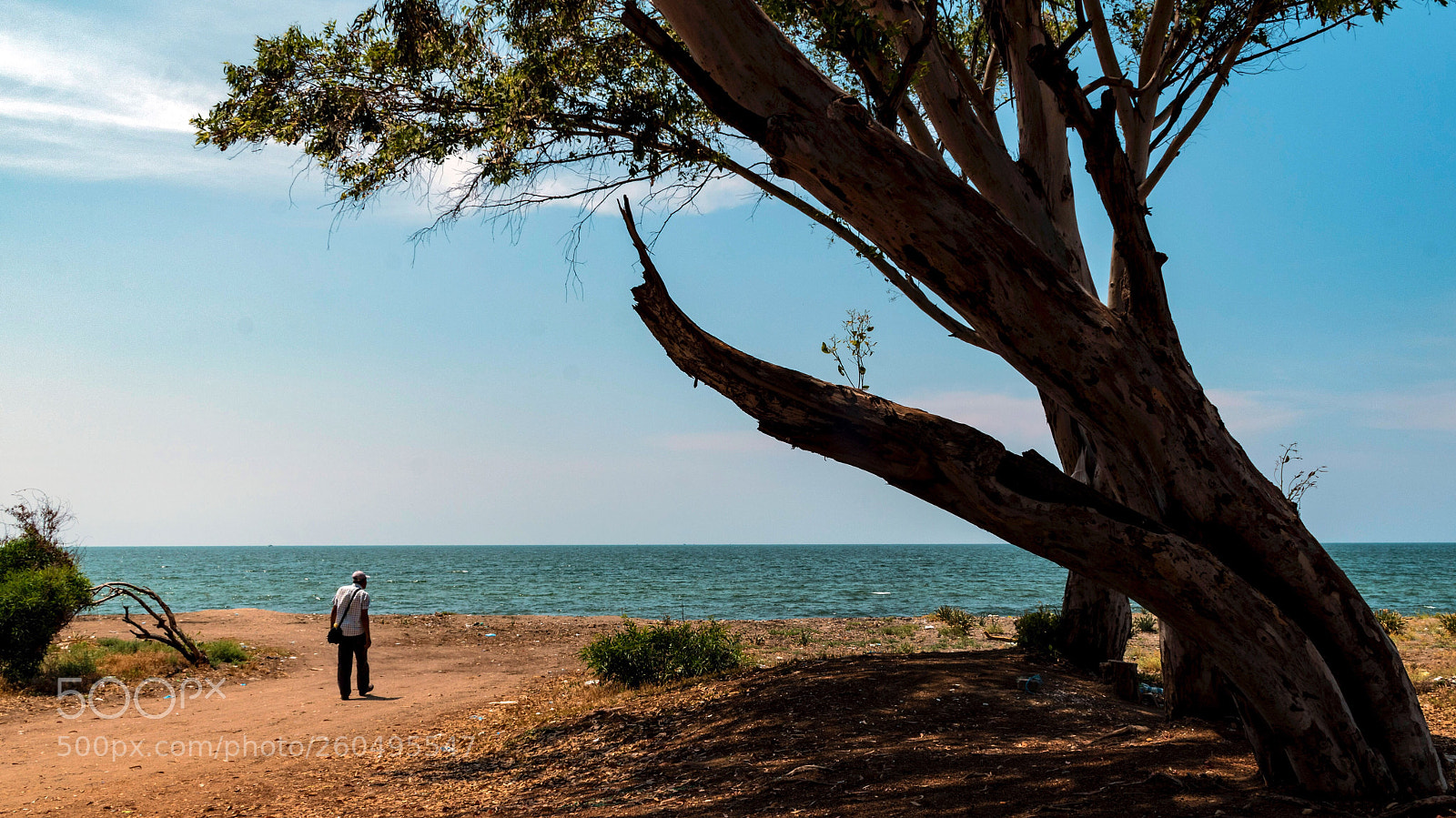 Nikon D5600 sample photo. Alone photography