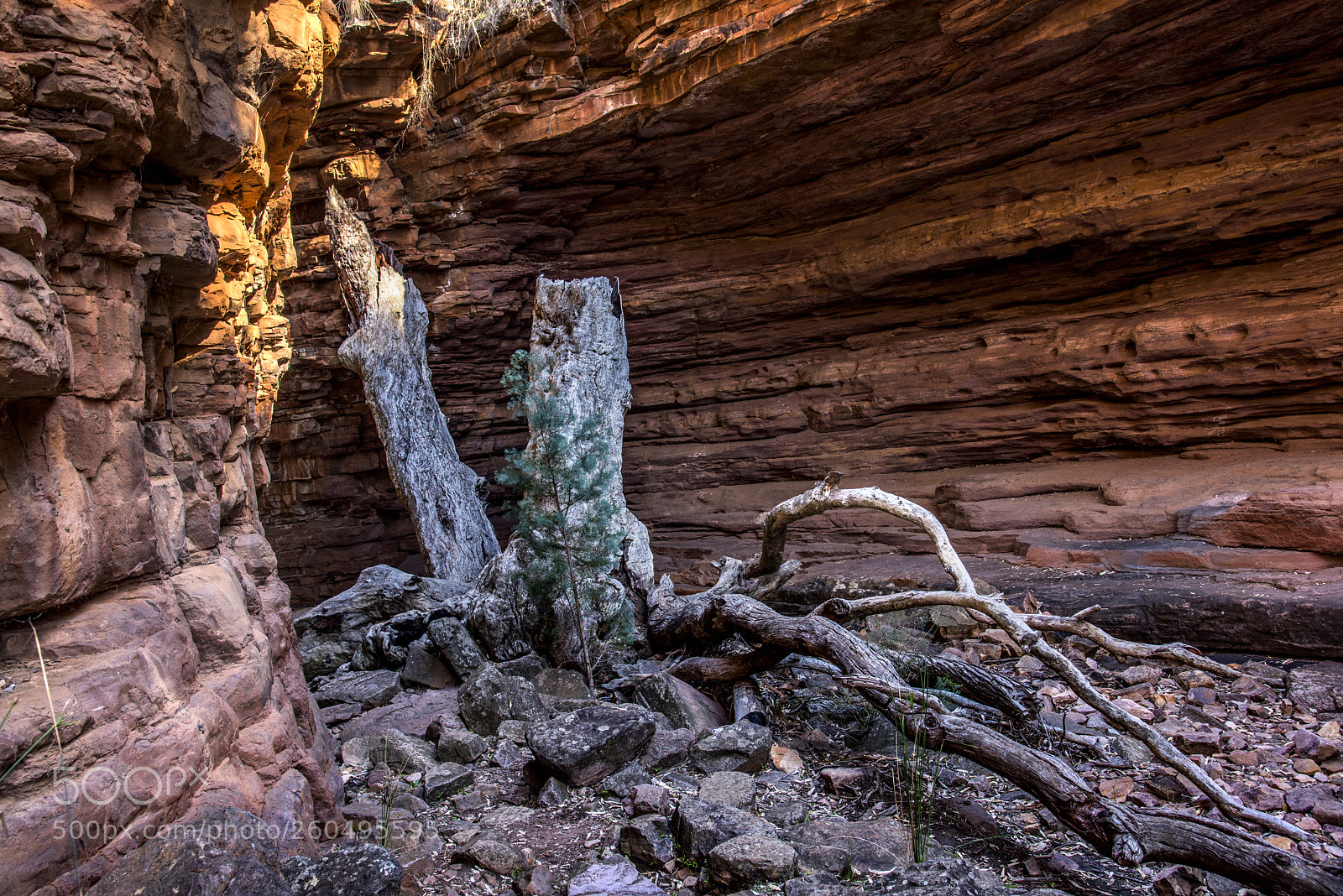 Nikon D810 sample photo. Alligator gorge,south australia photography