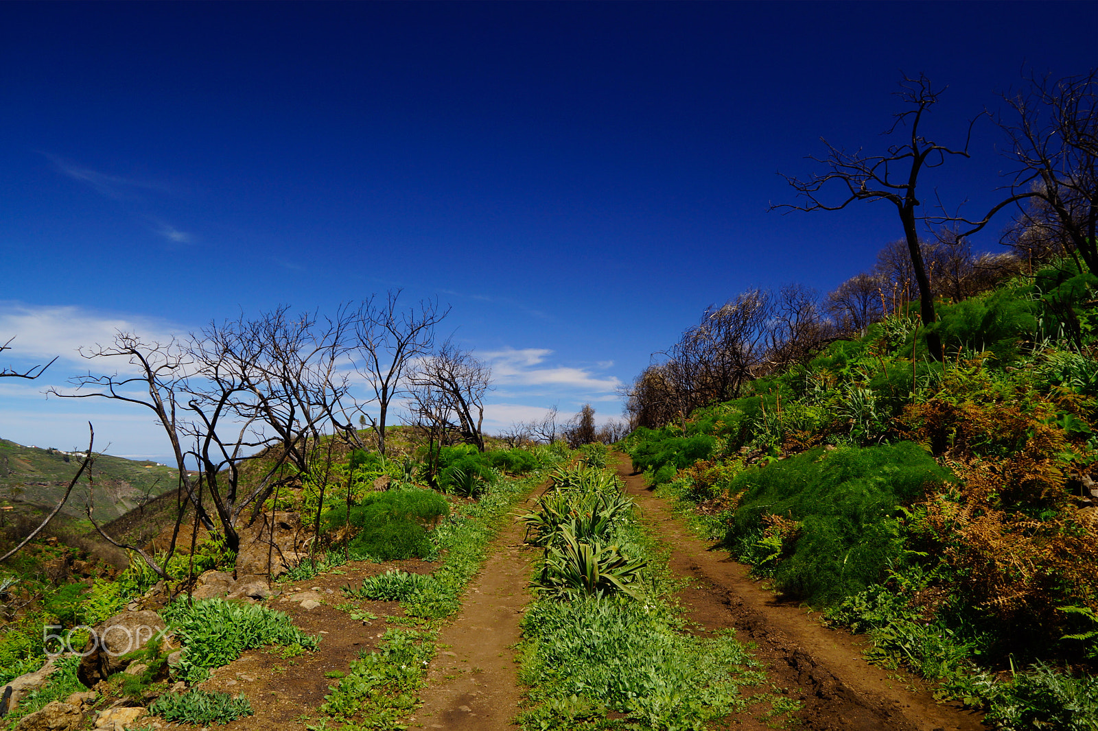 Sony DT 18-200mm F3.5-6.3 sample photo. Gran canaria vii, becerra valley photography