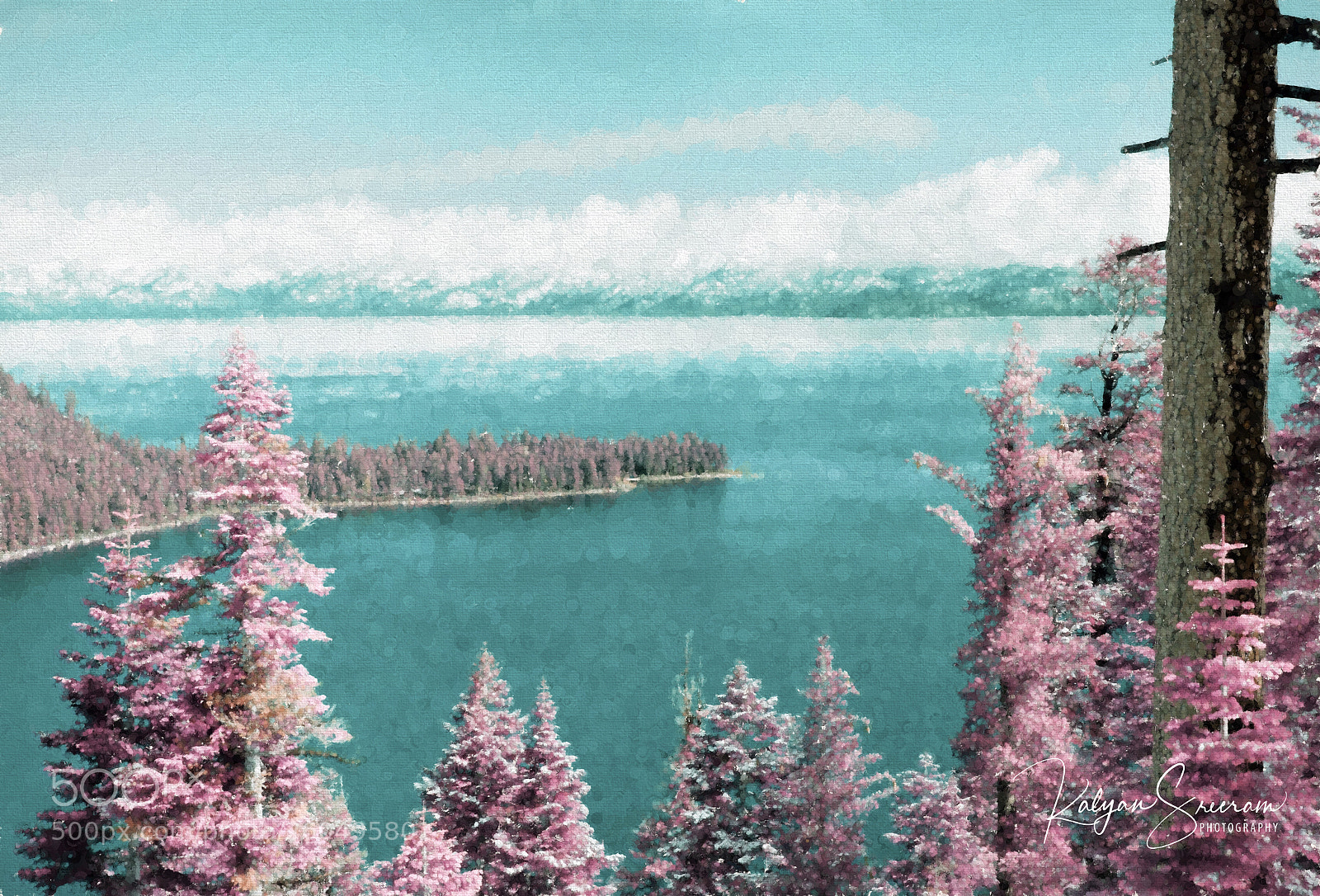 Canon EOS 7D Mark II sample photo. Lake tahoe infrared digital photography