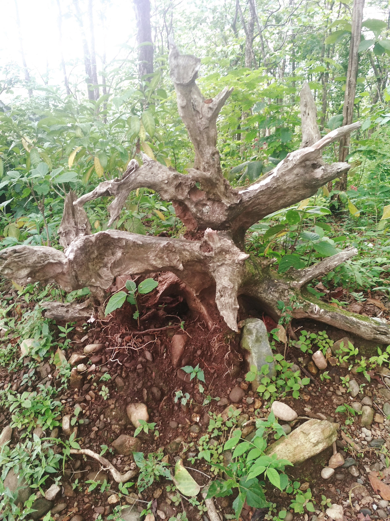Xiaomi Redmi 4 Pro sample photo