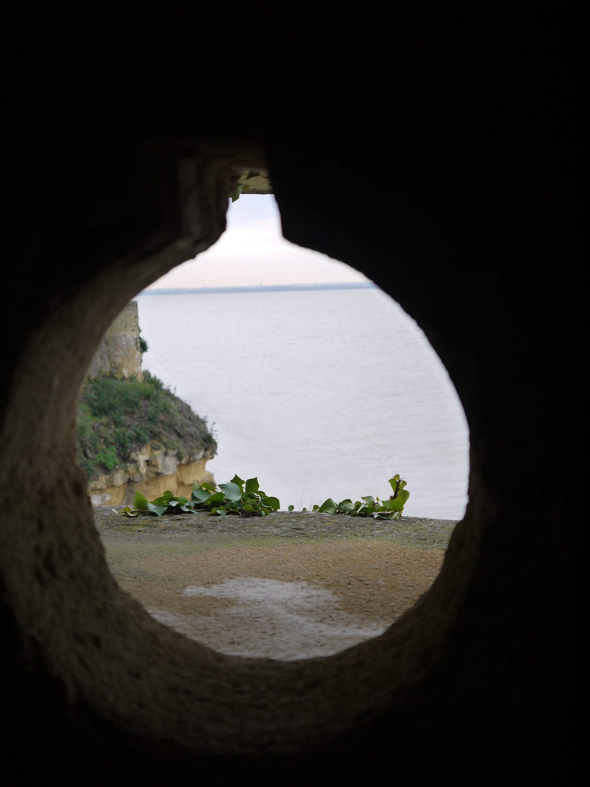 Panasonic Lumix DMC-G2 sample photo. Cité du vin et blaye janvier 2018 photography