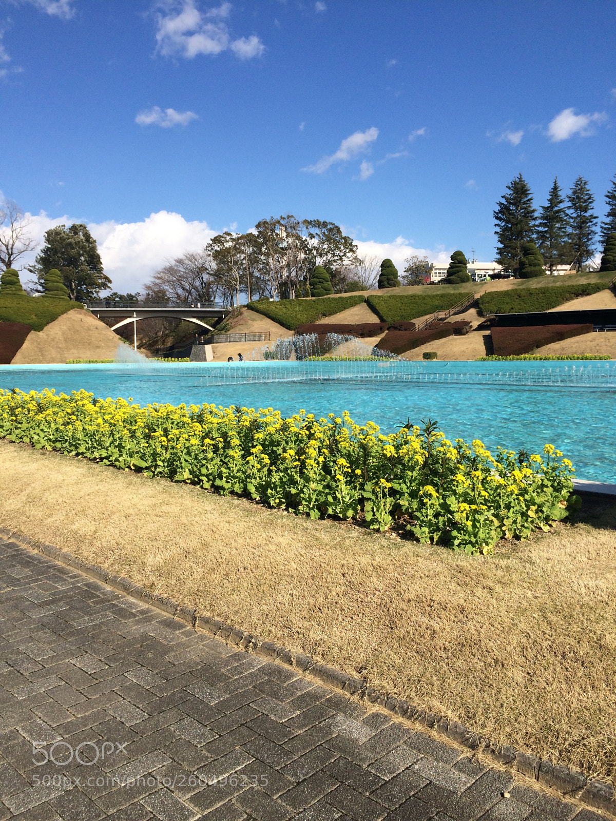 Apple iPhone 5s sample photo. Park photography