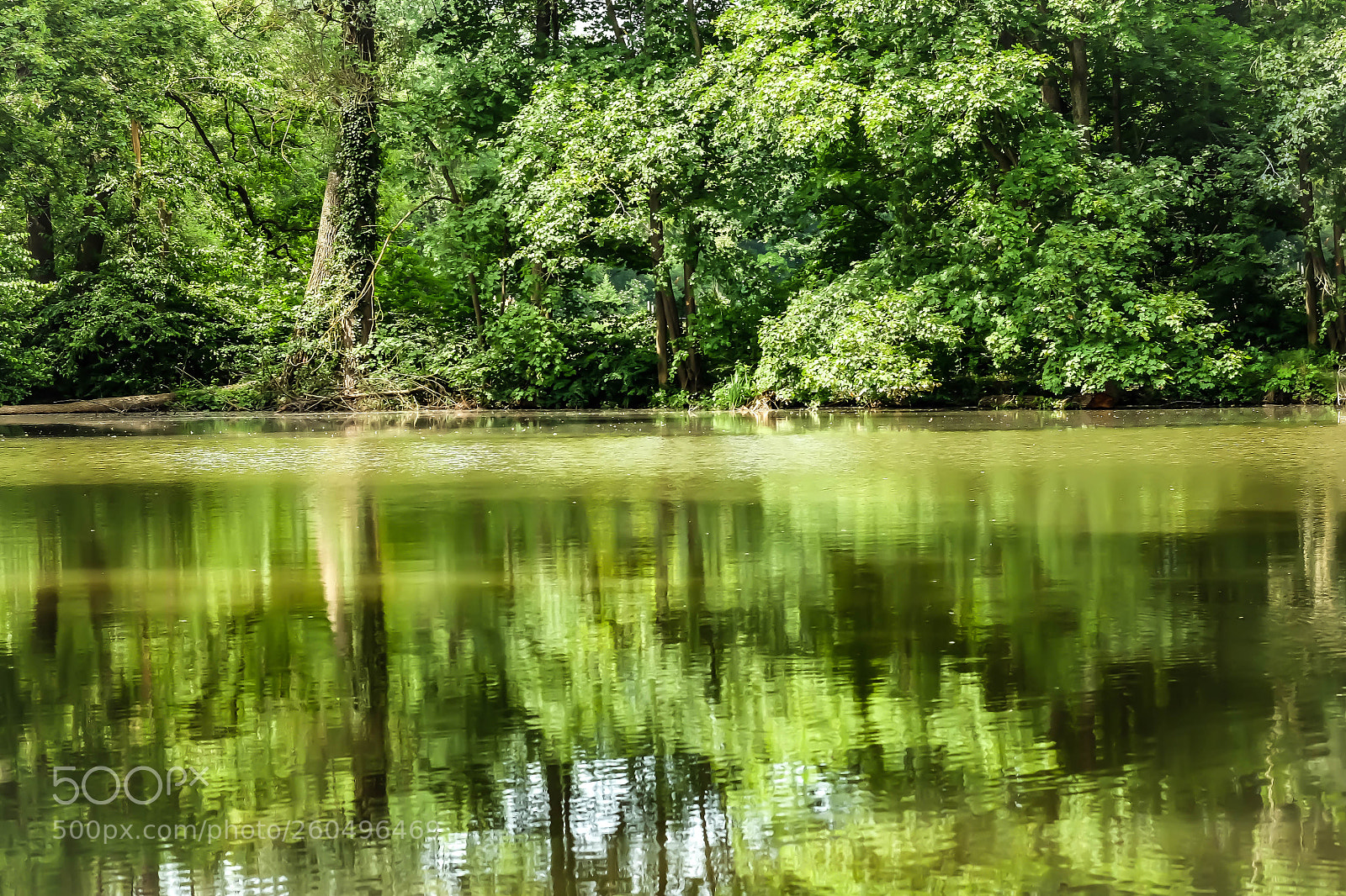 Fujifilm X-T1 sample photo. Sun and water photography