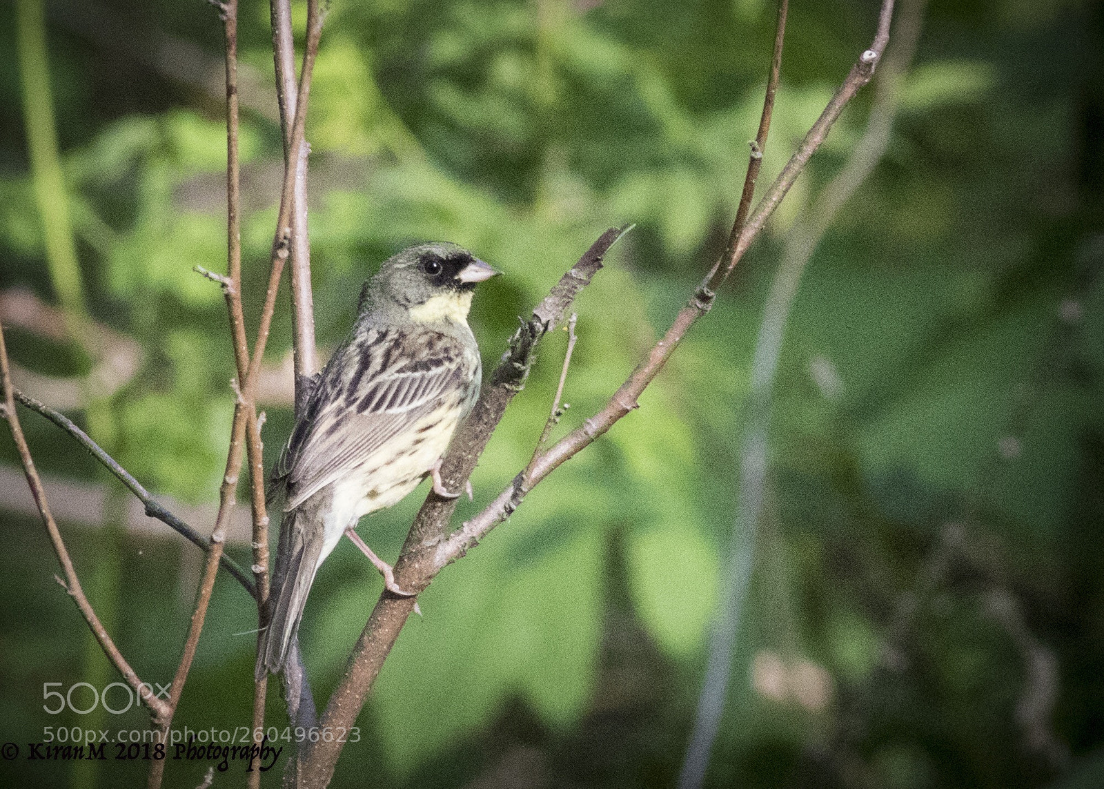 Canon EOS 7D Mark II sample photo. Dusky quietness photography