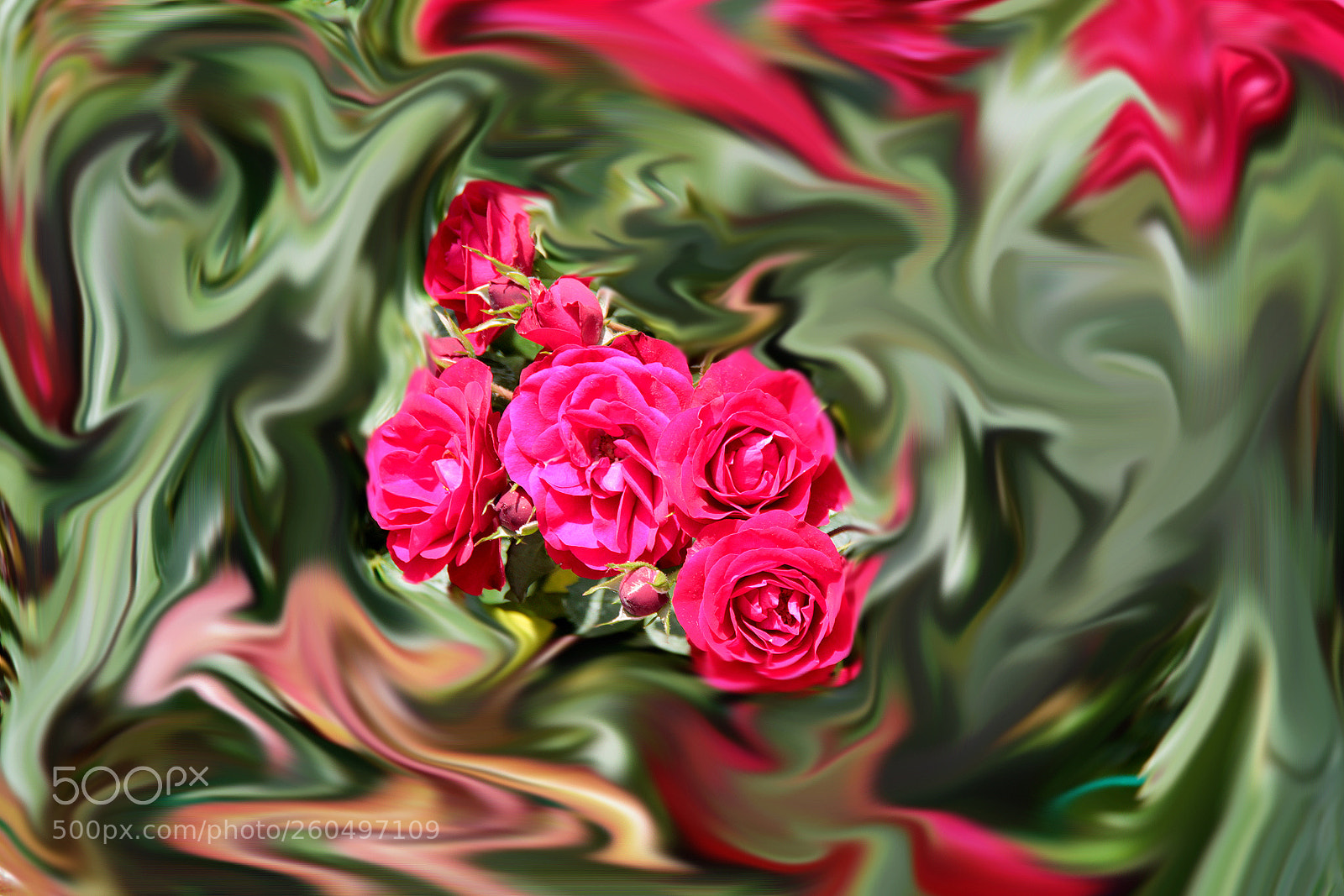 Canon EOS 600D (Rebel EOS T3i / EOS Kiss X5) sample photo. Roses for you photography