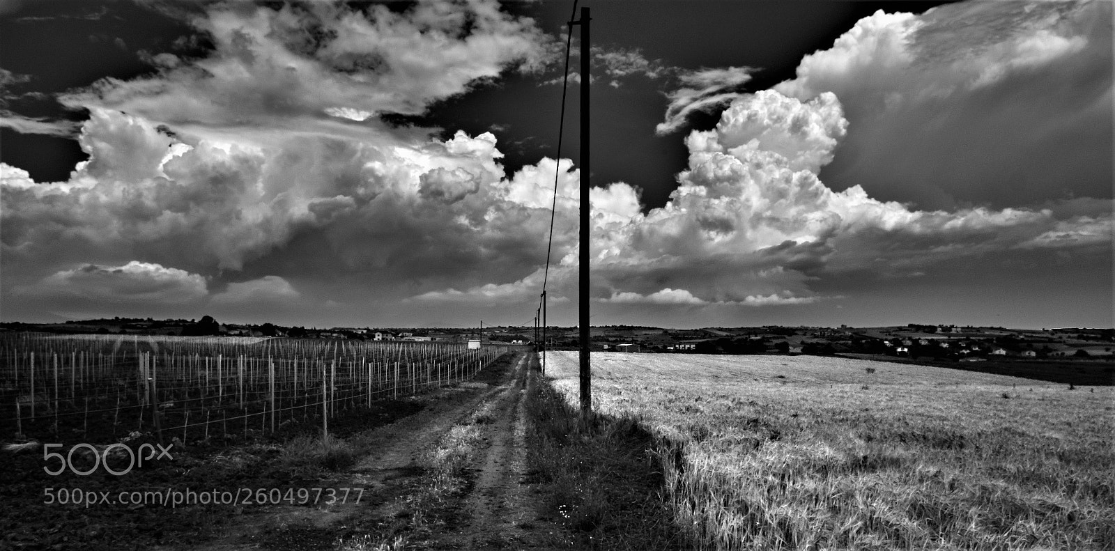 Fujifilm X-T2 sample photo. Country fields photography