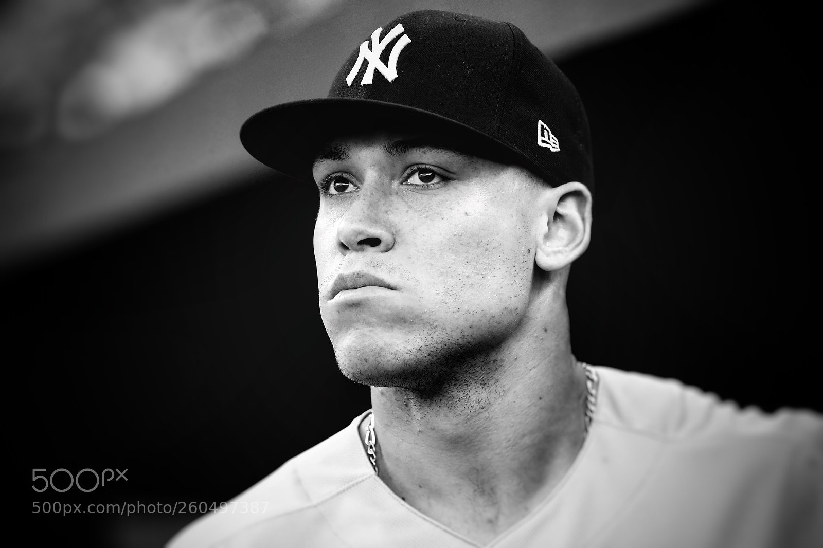 Canon EOS-1D X Mark II sample photo. Yankee slugger photography