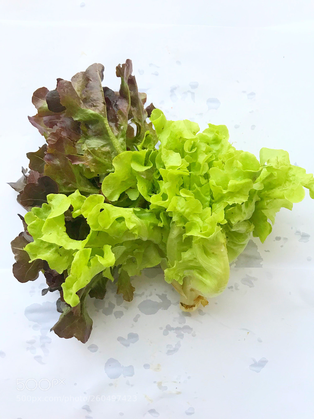 Apple iPhone 7 sample photo. Fresh vegetable photography