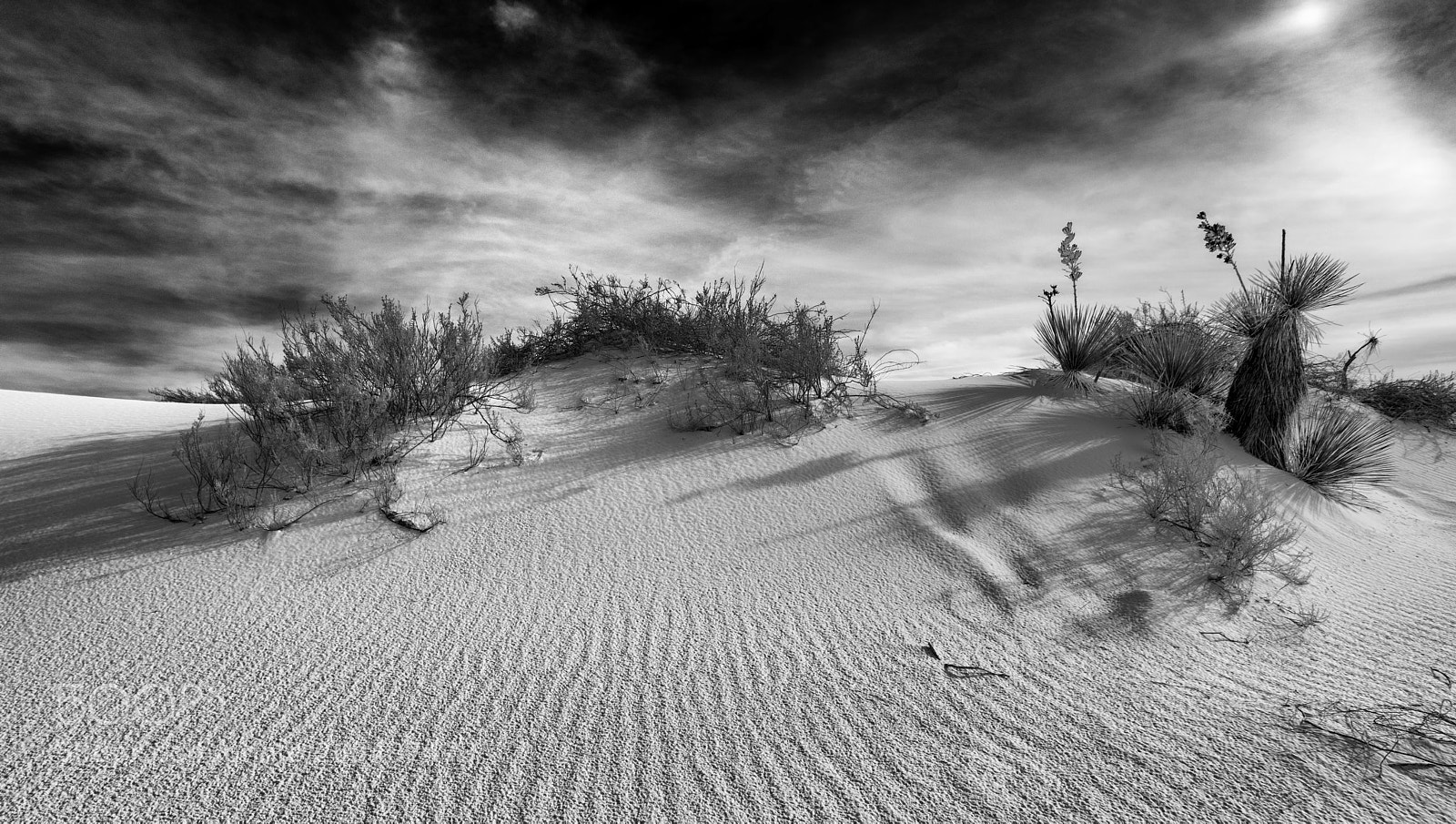 Canon EOS 5D Mark IV sample photo. White sands photography