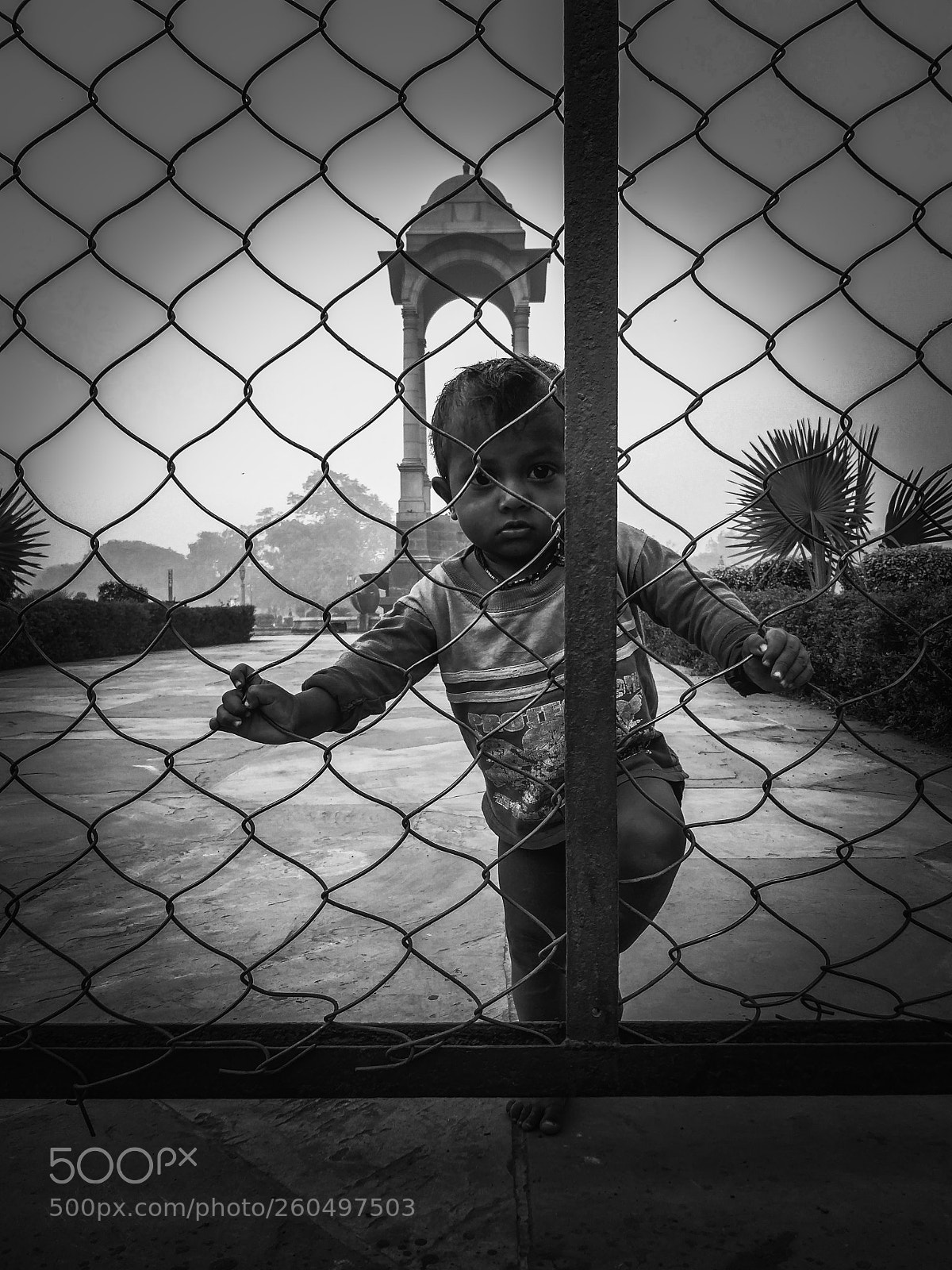 OnePlus 5 sample photo. Curious little fella photography