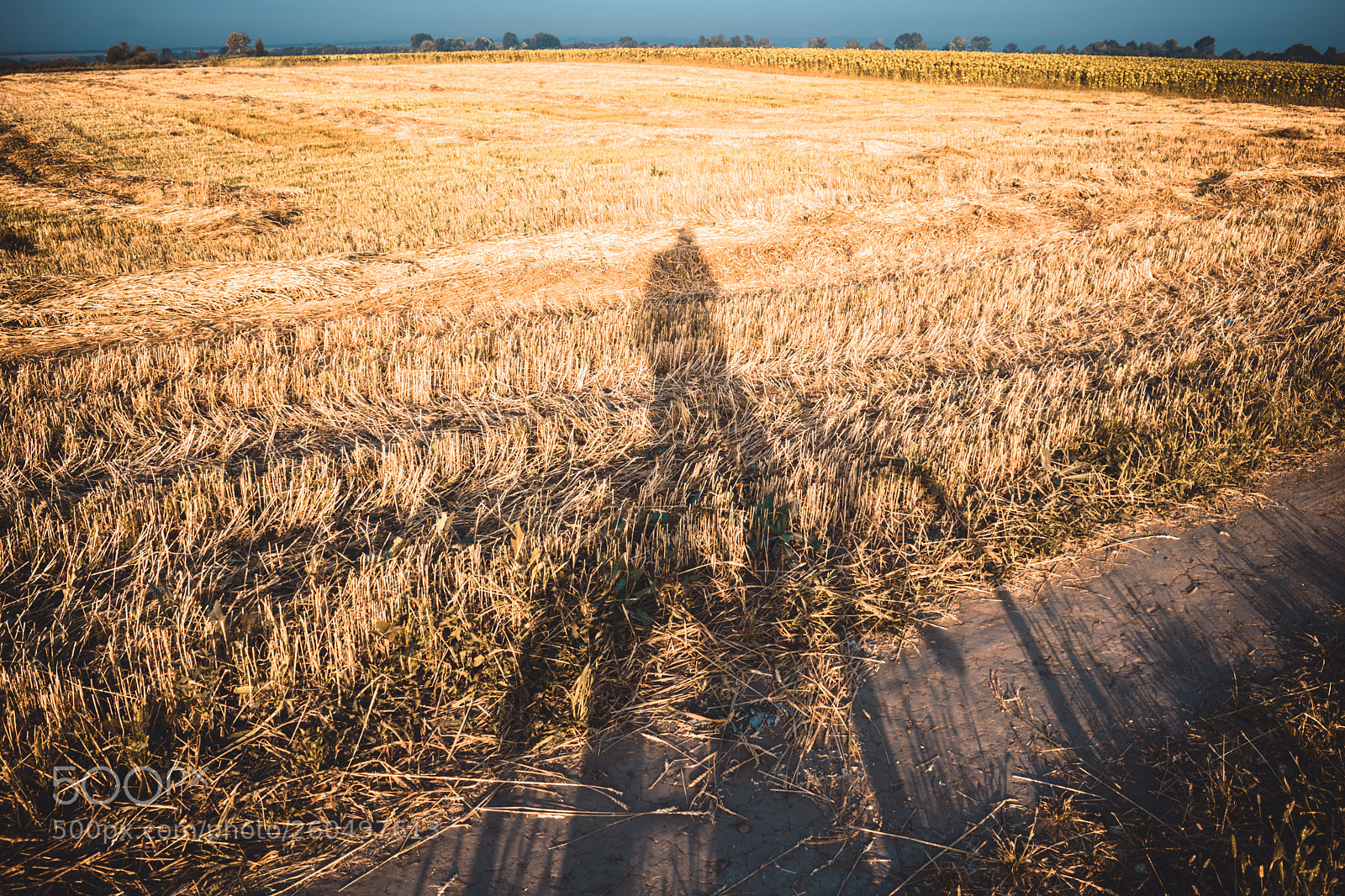 Nikon D5300 sample photo. Autumn 4 photography