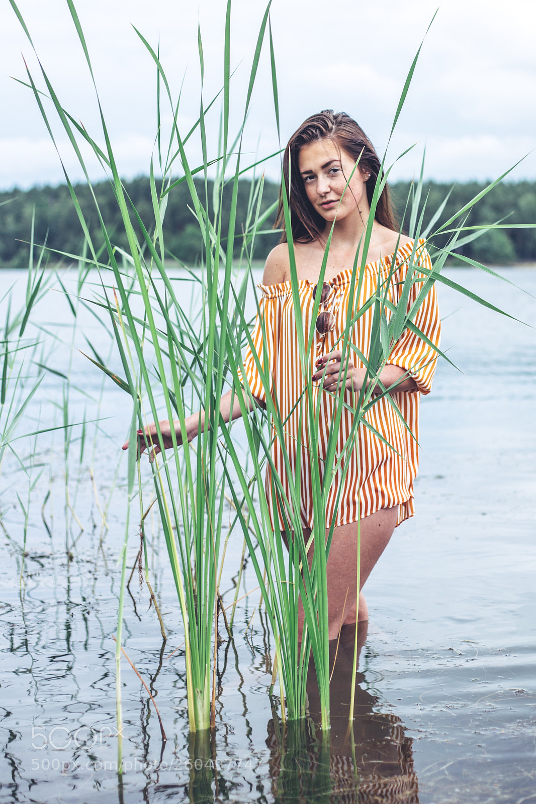 Canon EOS 6D sample photo. Untitled photography