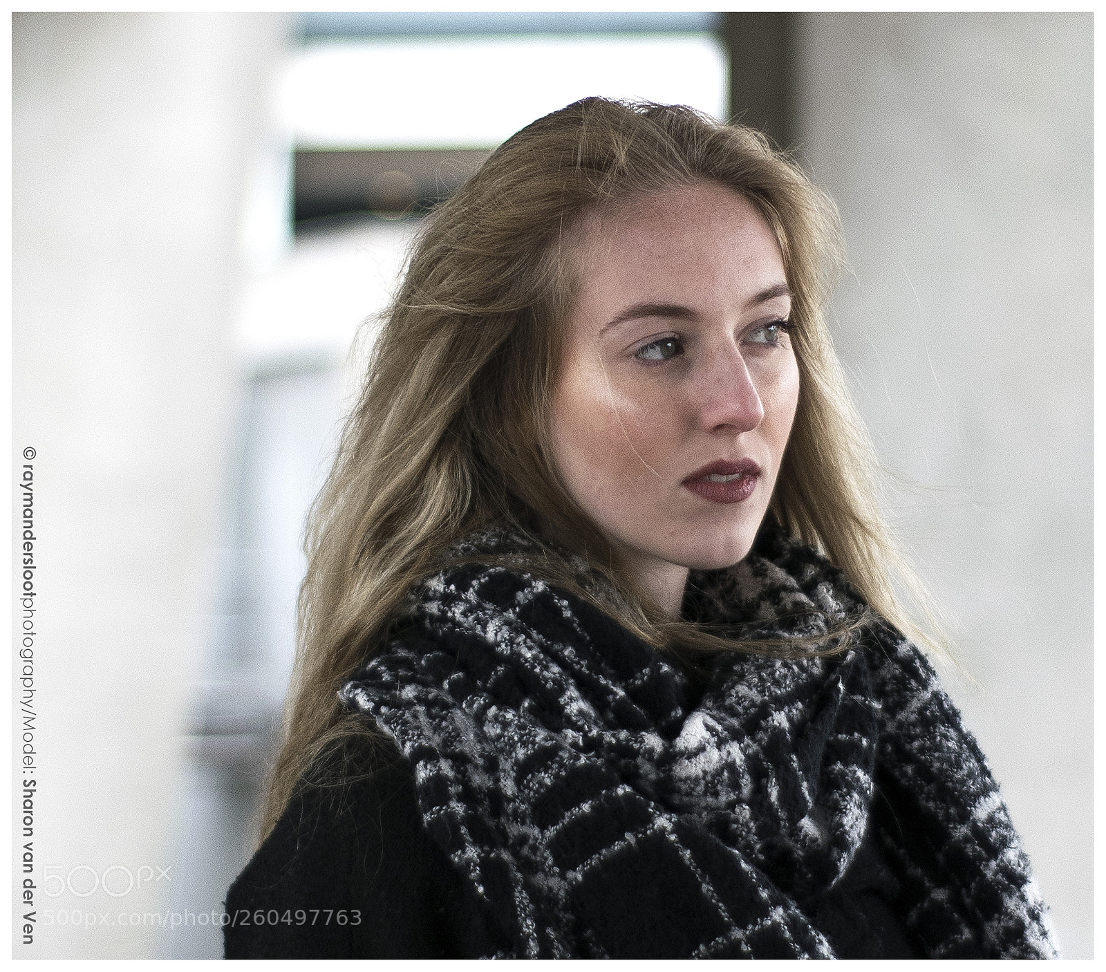 Nikon D5300 sample photo. Sharon photography