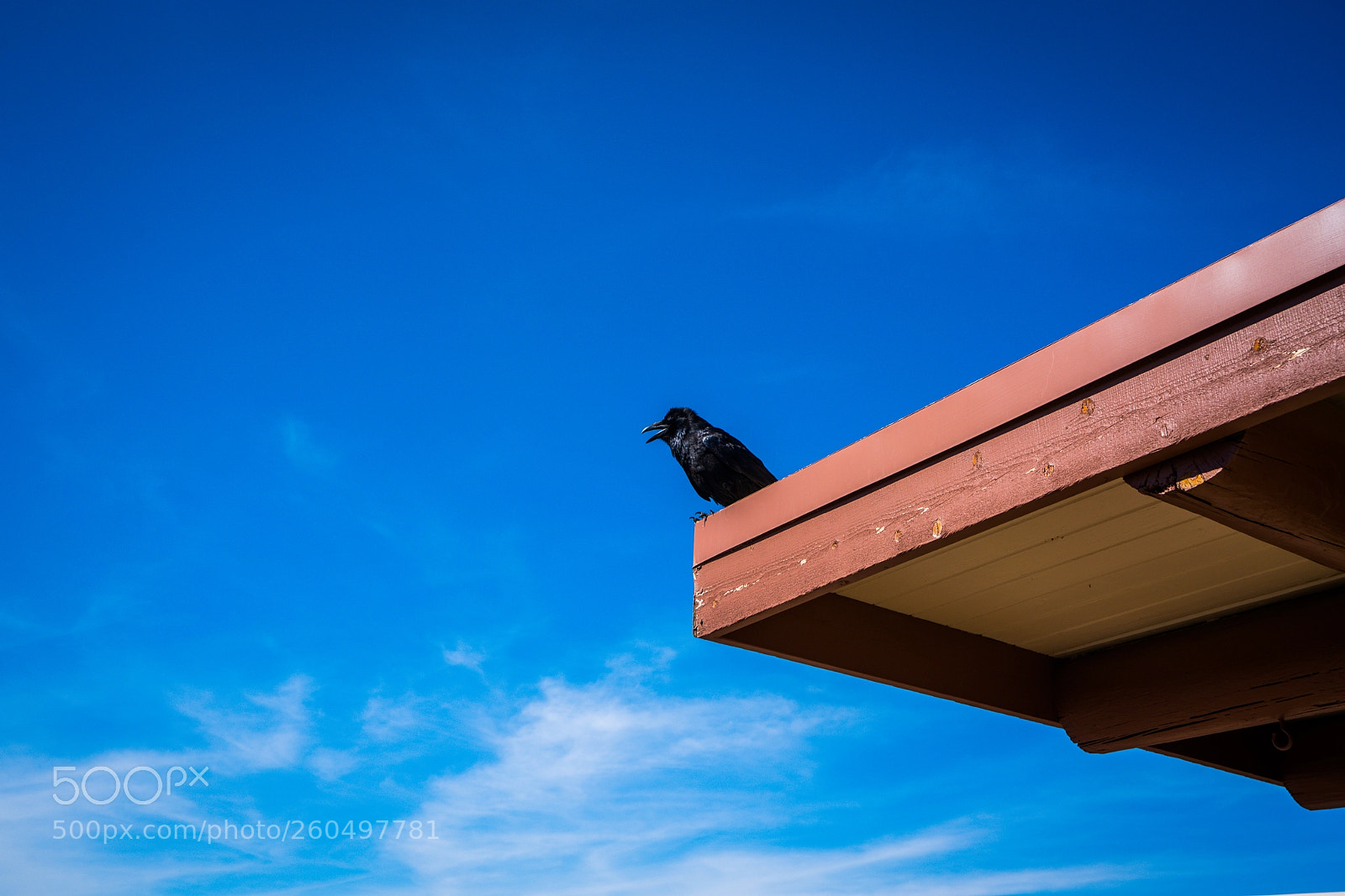 Sony a7R II sample photo. Dsc00335 photography