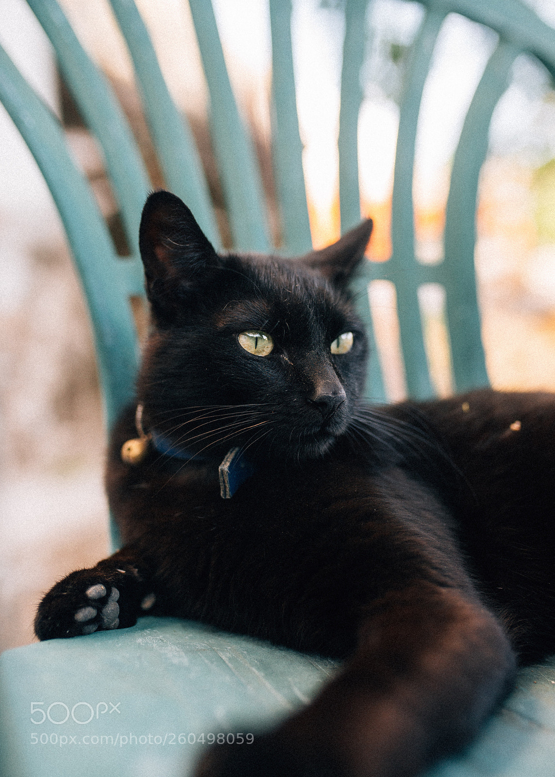 Nikon D610 sample photo. Untitled photography