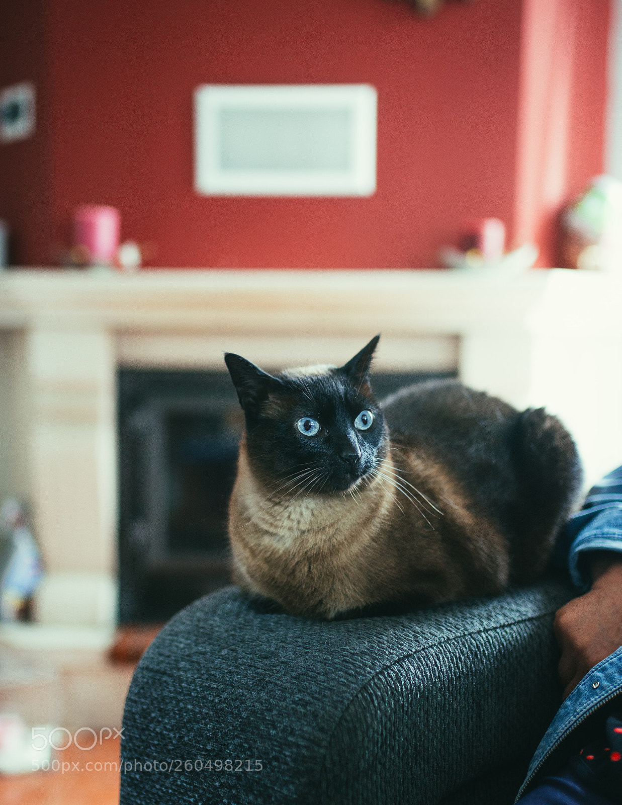 Nikon D610 sample photo. Untitled photography