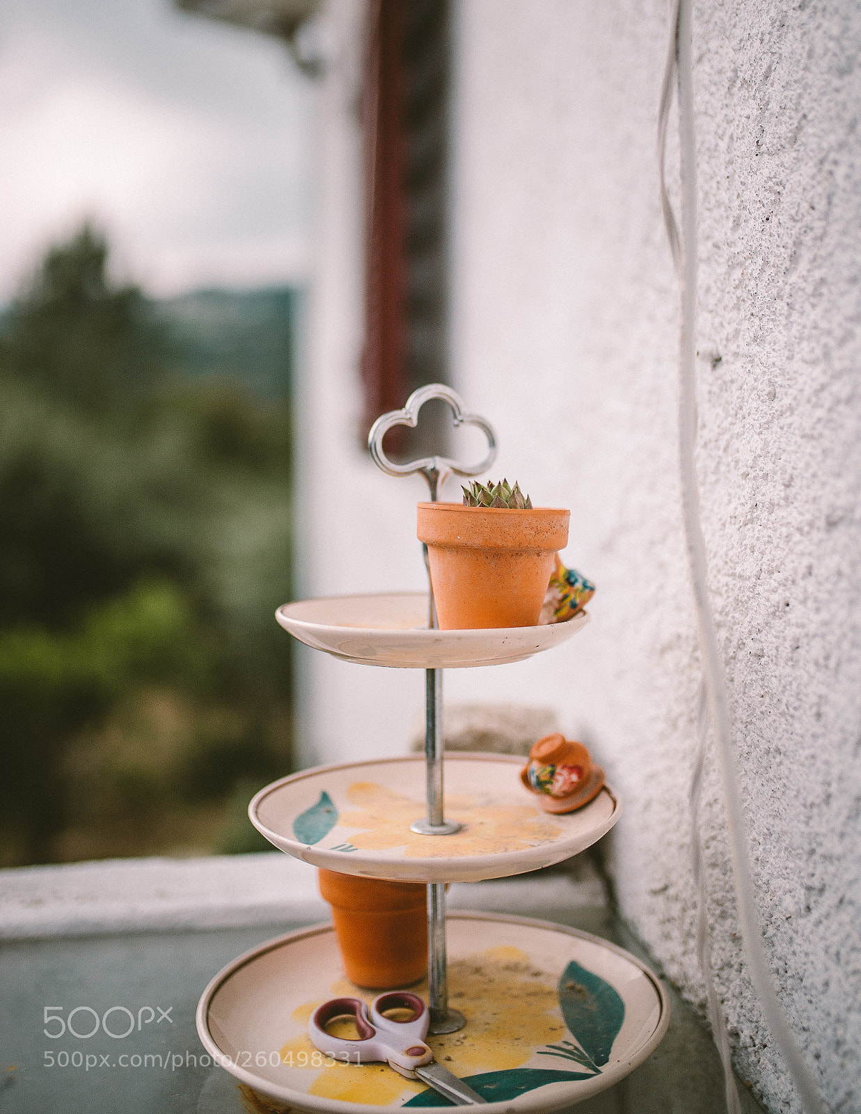 Nikon D610 sample photo. Untitled photography