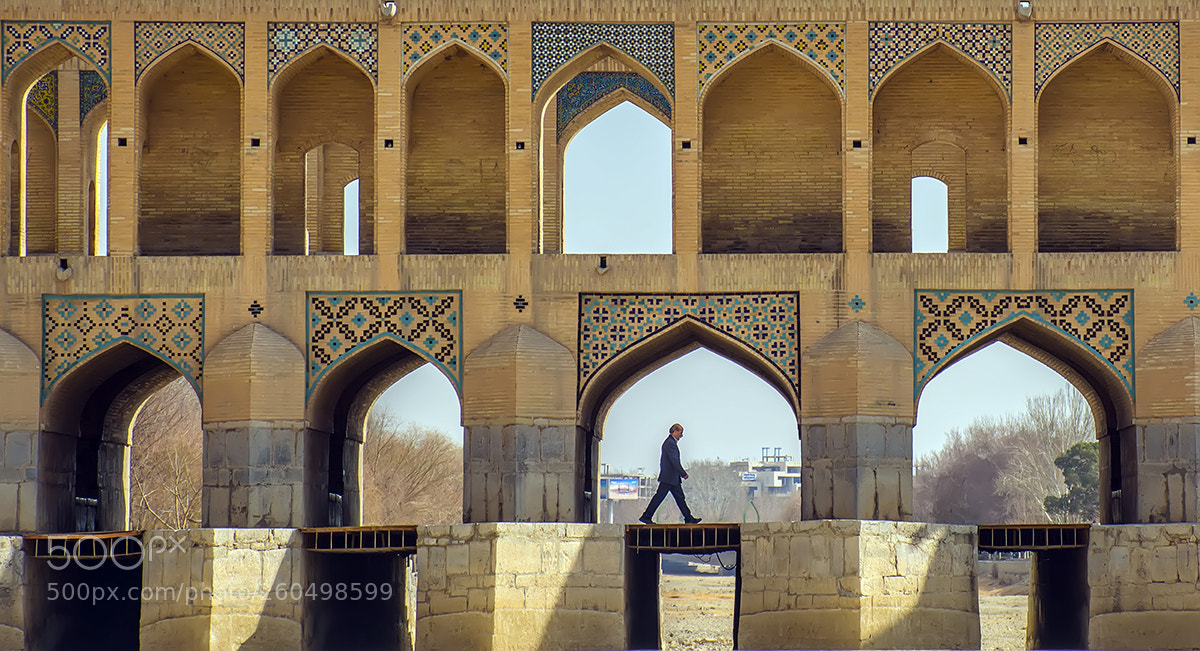 Nikon D7100 sample photo. Bridge photography