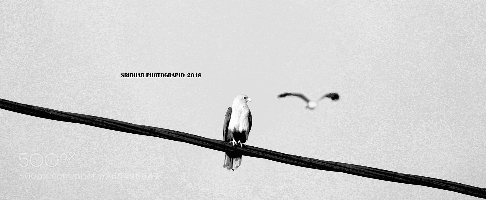 Canon EOS 80D sample photo. Untitled photography