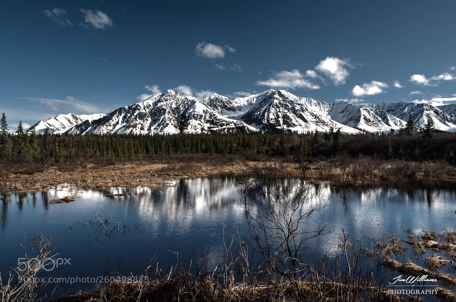 Nikon D810 sample photo. Reflection photography
