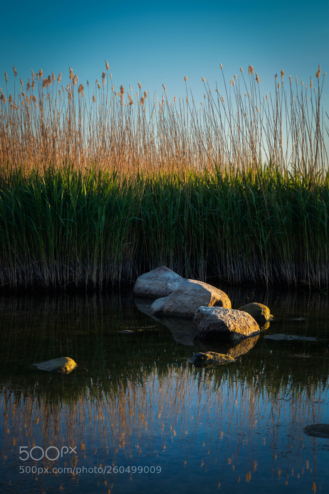 Nikon D3300 sample photo. Reflection photography