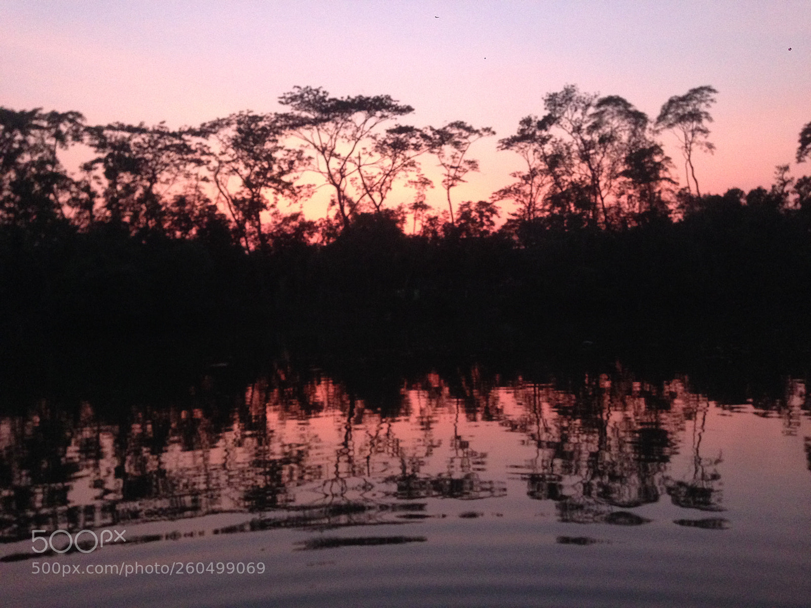 Apple iPhone 5 sample photo. Img photography