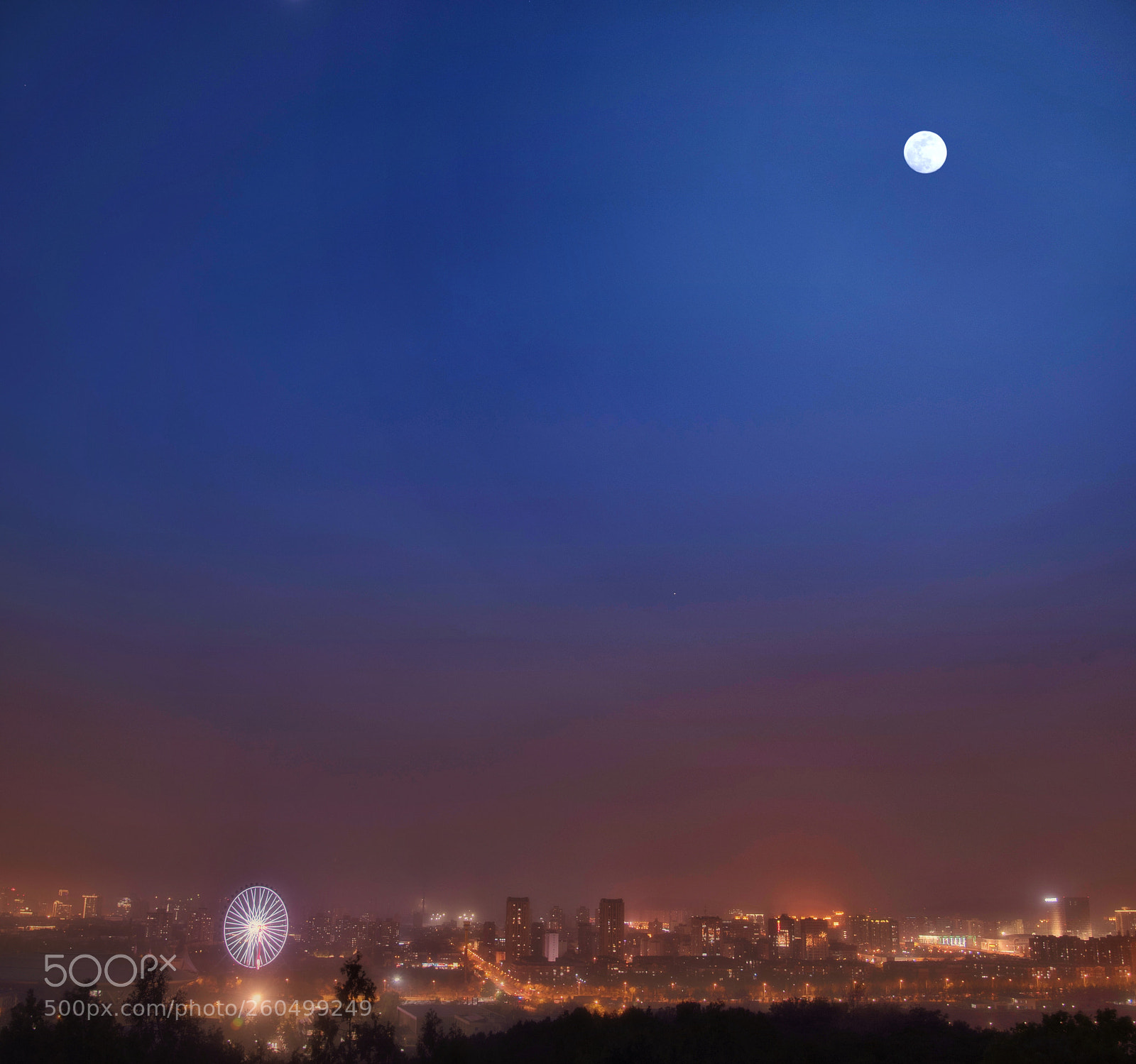 Nikon D750 sample photo. 夜 photography