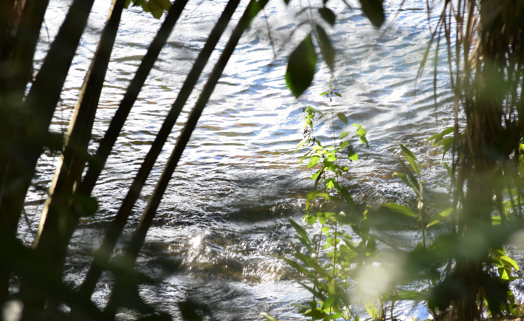Nikon D5300 sample photo. The shine of water photography