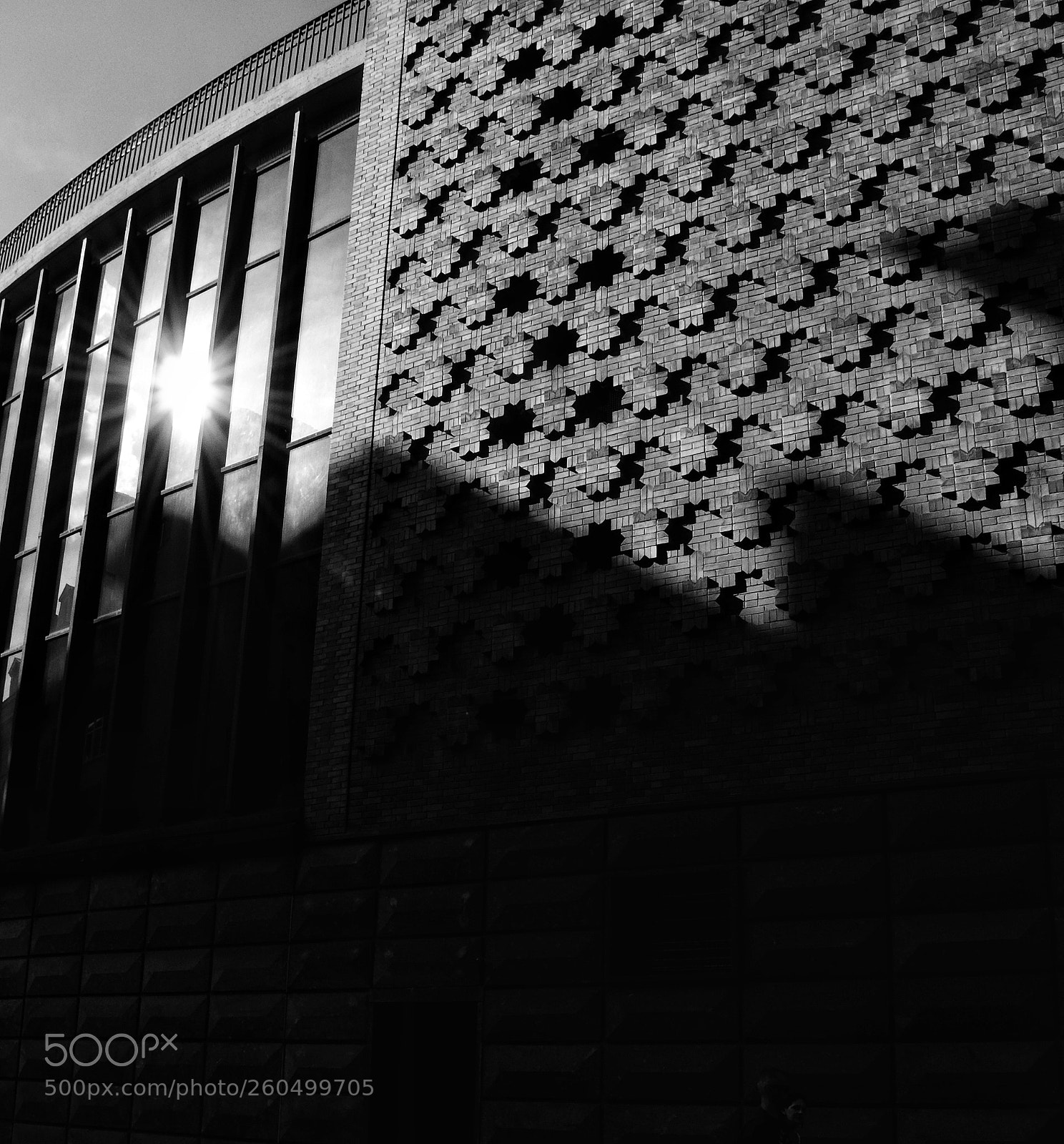 Nikon D5100 sample photo. Untitled photography