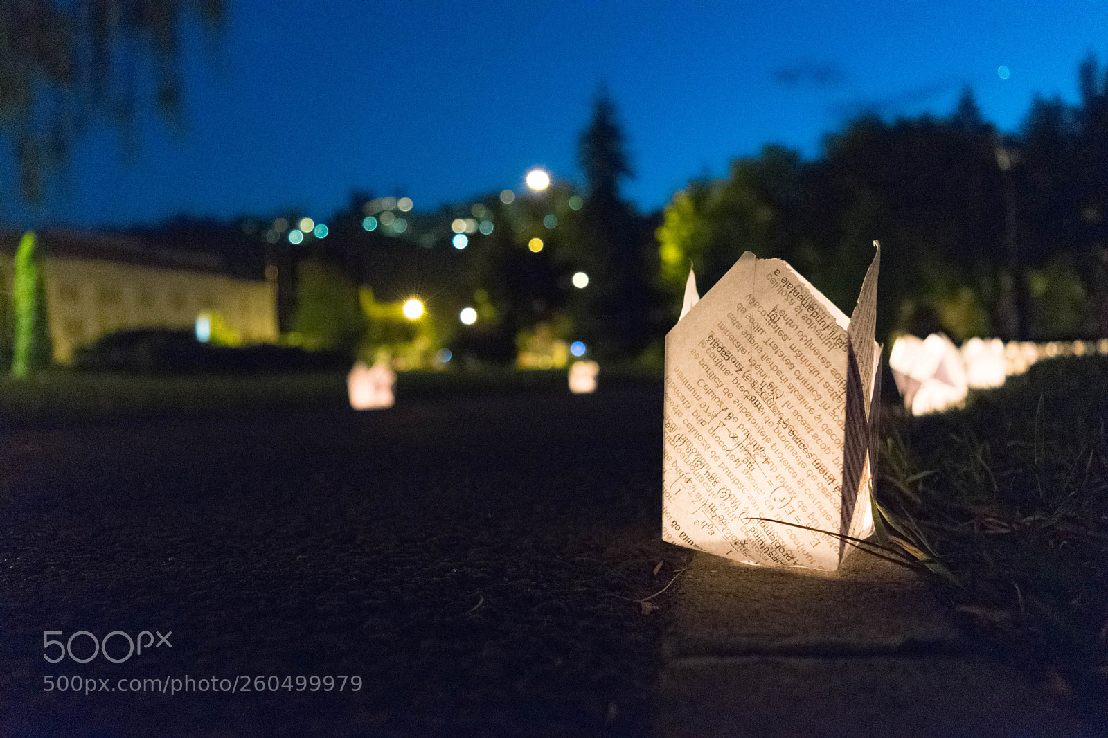 Nikon D3300 sample photo. Light in the park photography