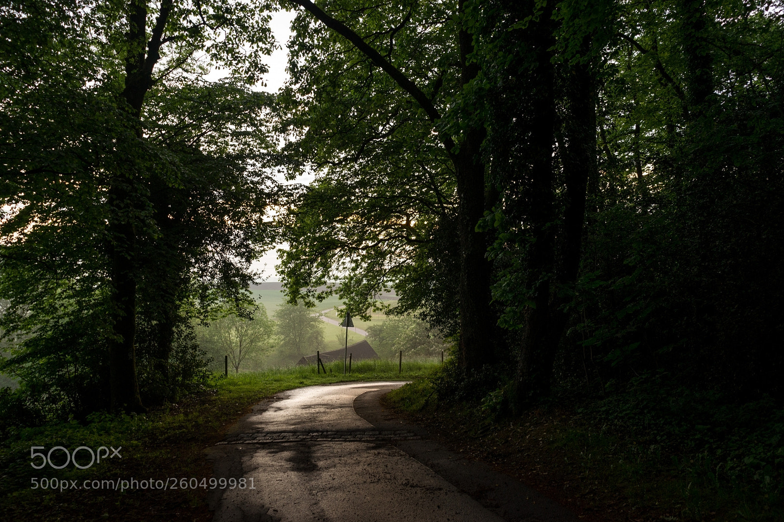 Sony a7 II sample photo. Visit www.photoadam.de for more photography