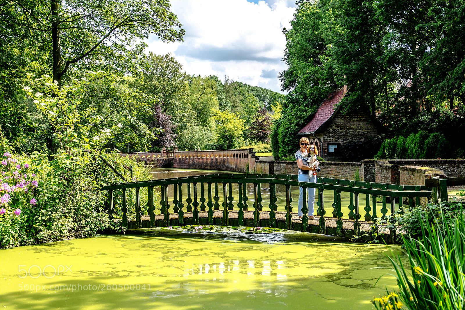 Nikon D7200 sample photo. Woman with dog cavalier photography