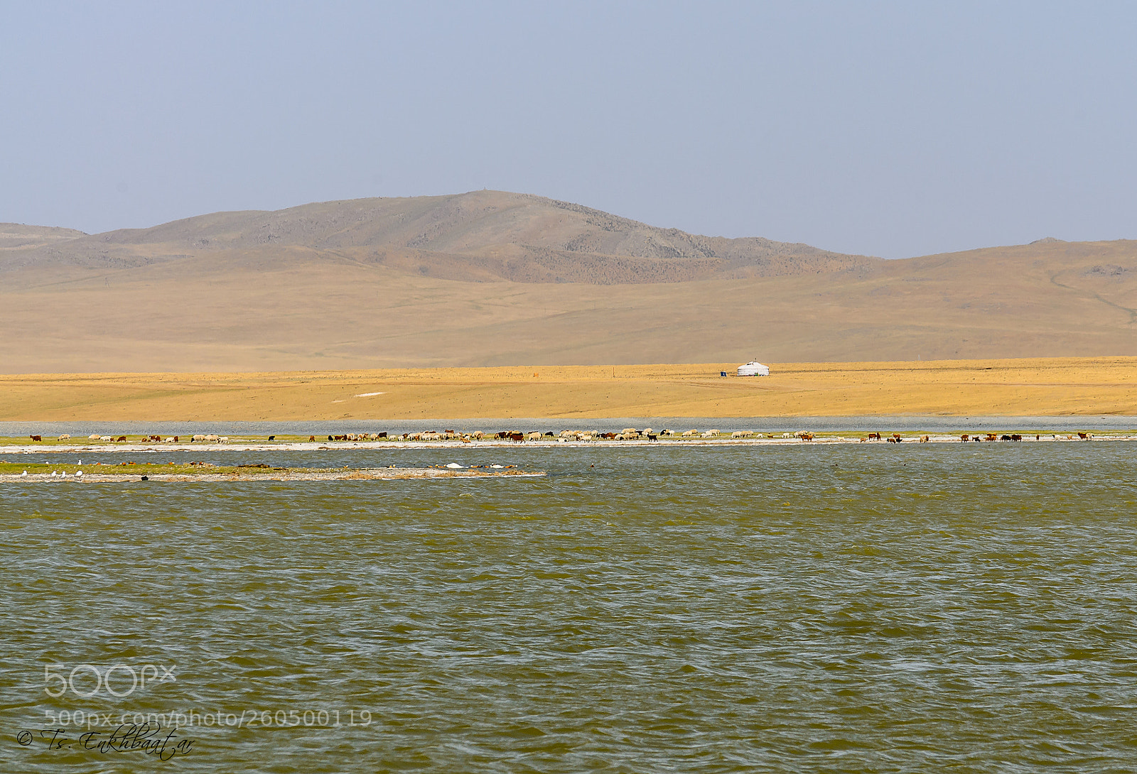 Nikon D5100 sample photo. Summer in mongolia photography