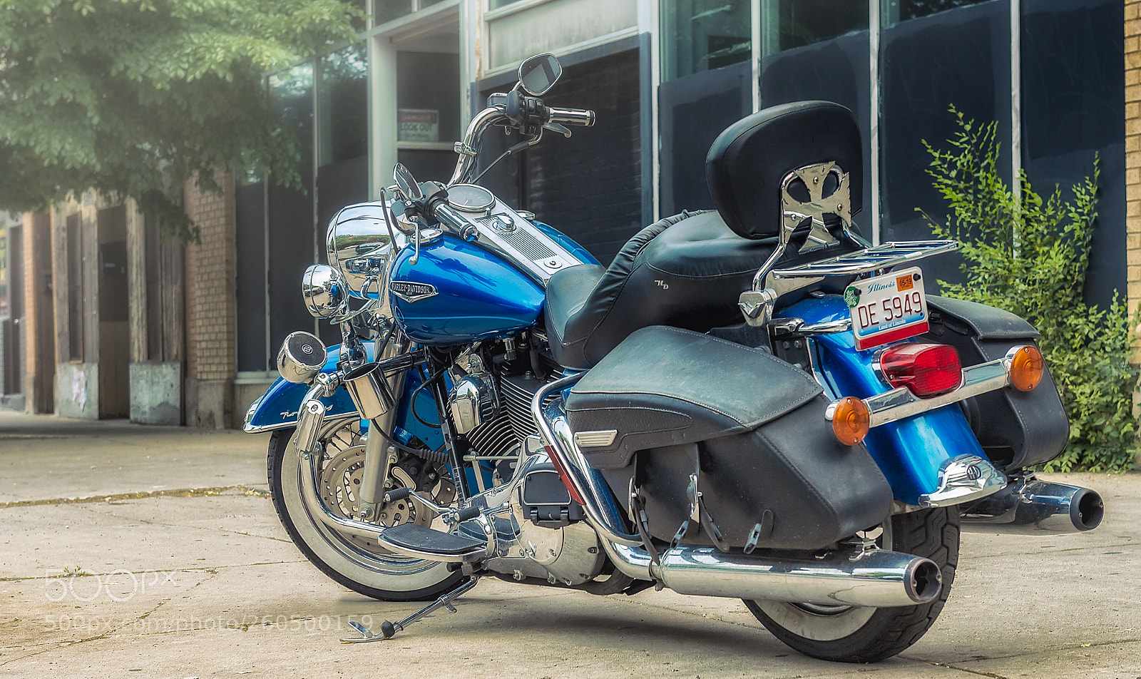 Nikon D610 sample photo. The way of life photography