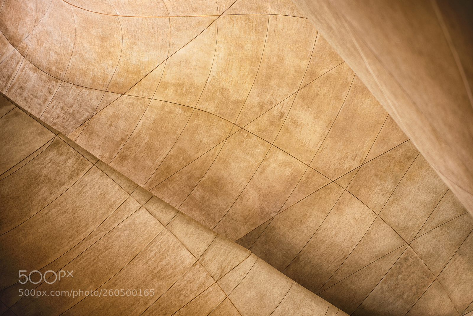Nikon D750 sample photo. Polin museum of the photography
