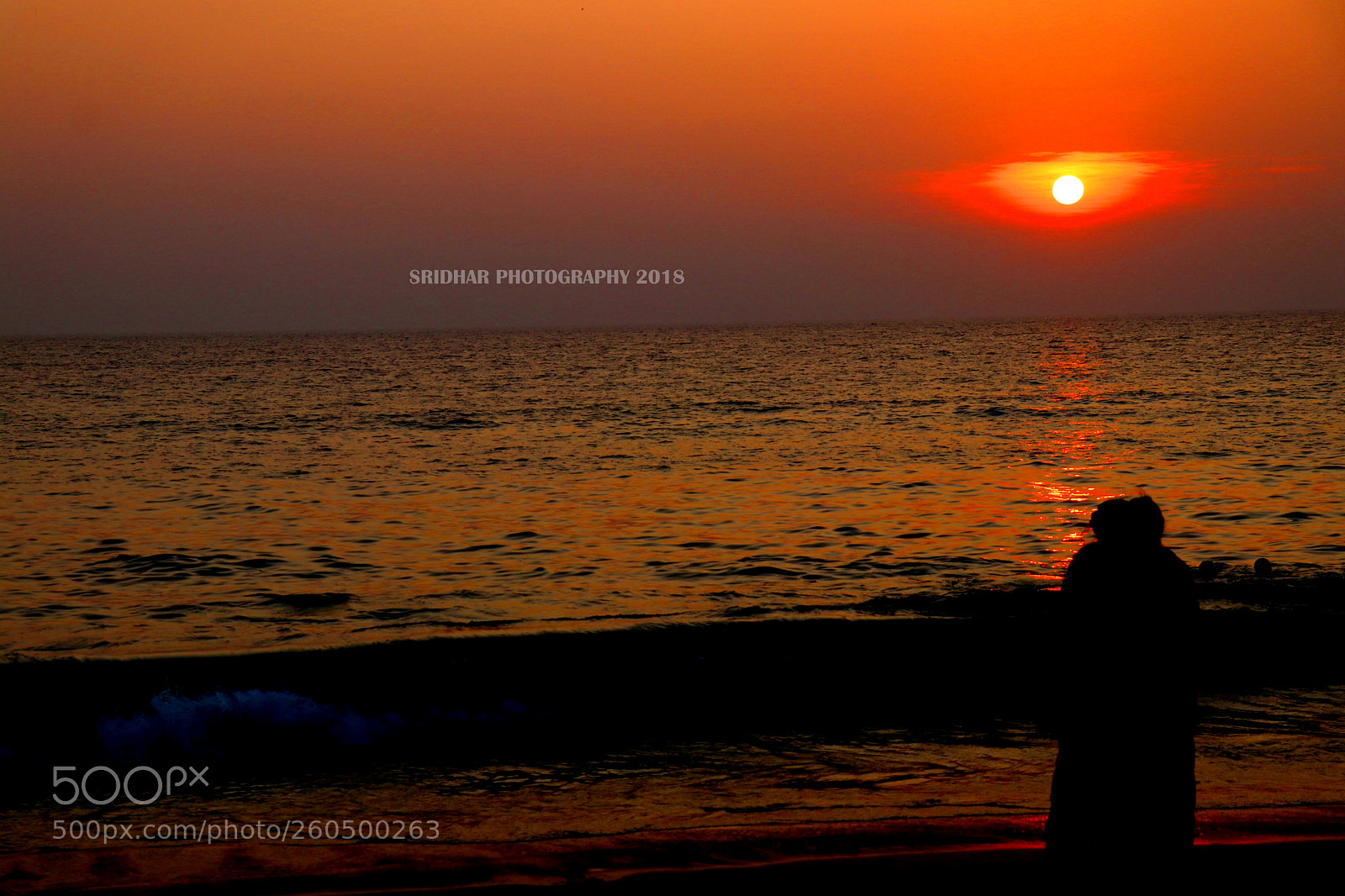 Canon EOS 80D sample photo. Untitled photography