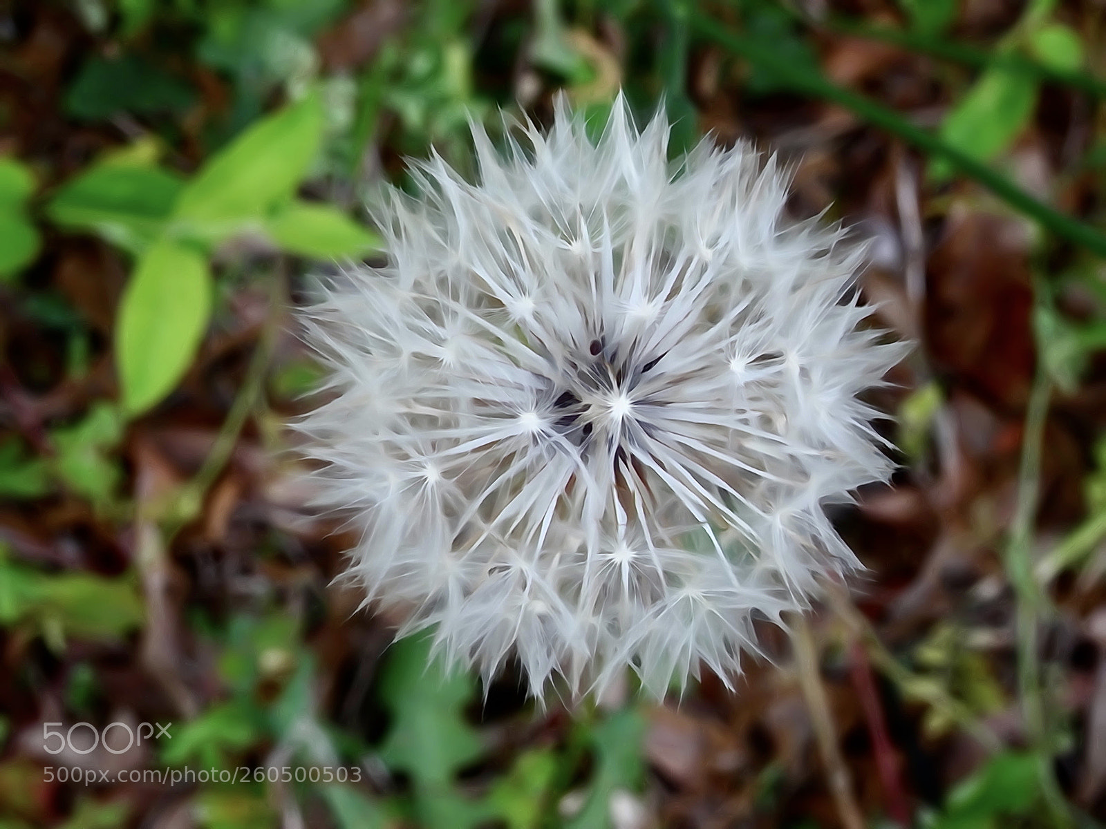 Sony Cyber-shot DSC-HX90V sample photo. Simple beauty photography