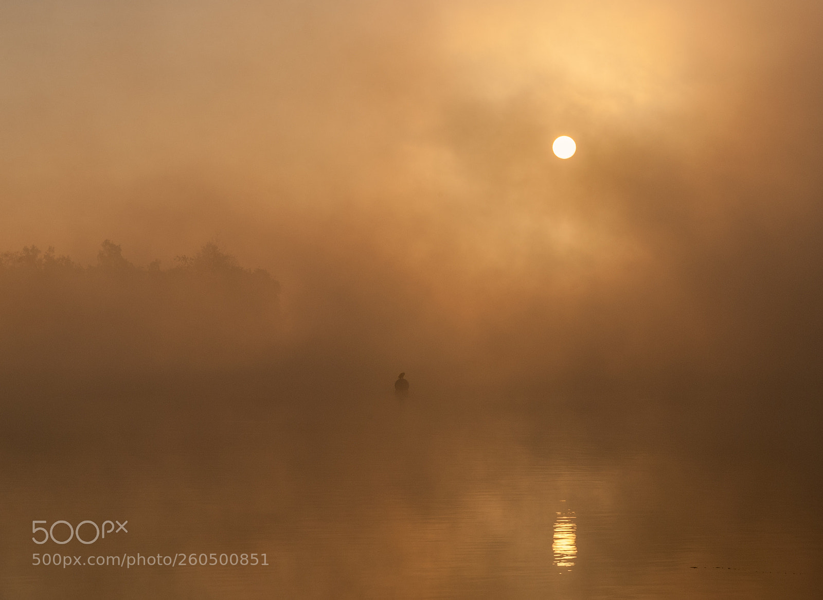 Nikon D60 sample photo. Fog at sunrise photography
