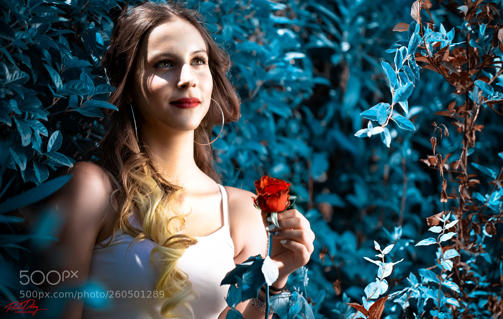 Nikon D7200 sample photo. Δανάη - magic forest photography