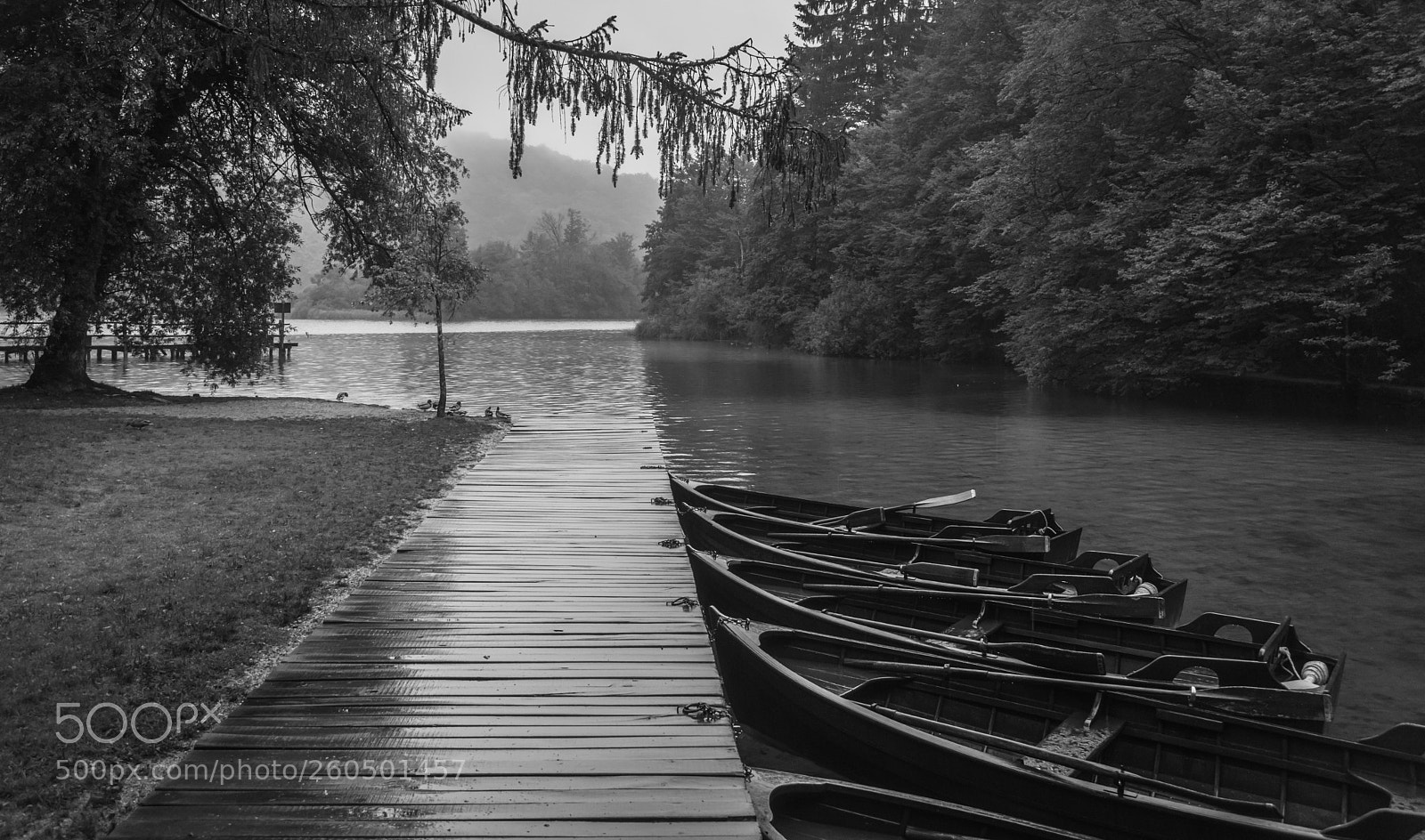 Nikon D3300 sample photo. Plitvice pier photography