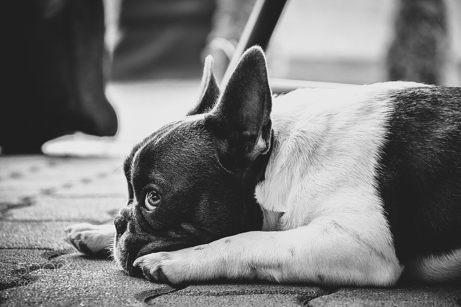 Nikon D3400 sample photo. Untitled photography
