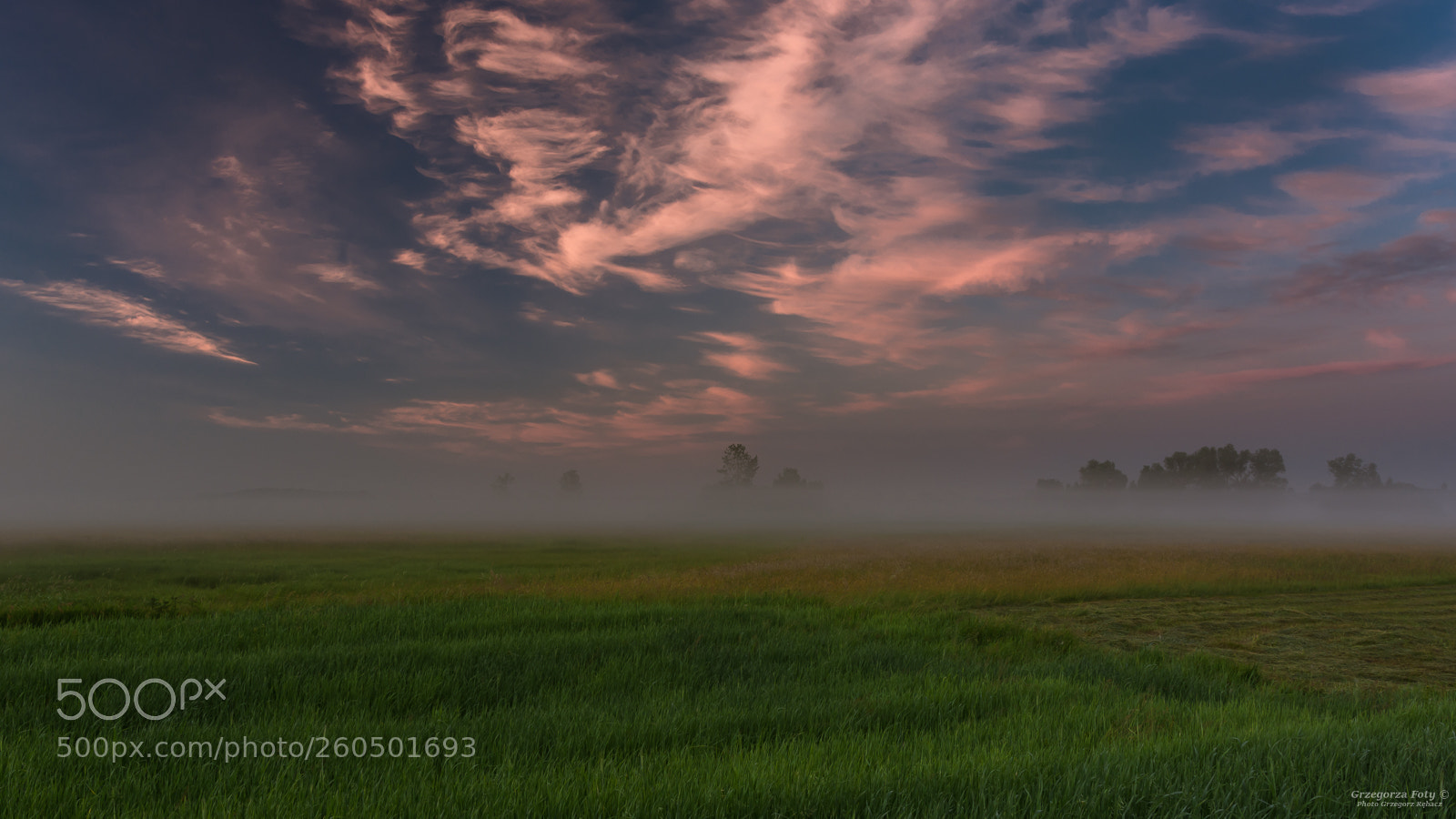Nikon D7100 sample photo. Morning photography