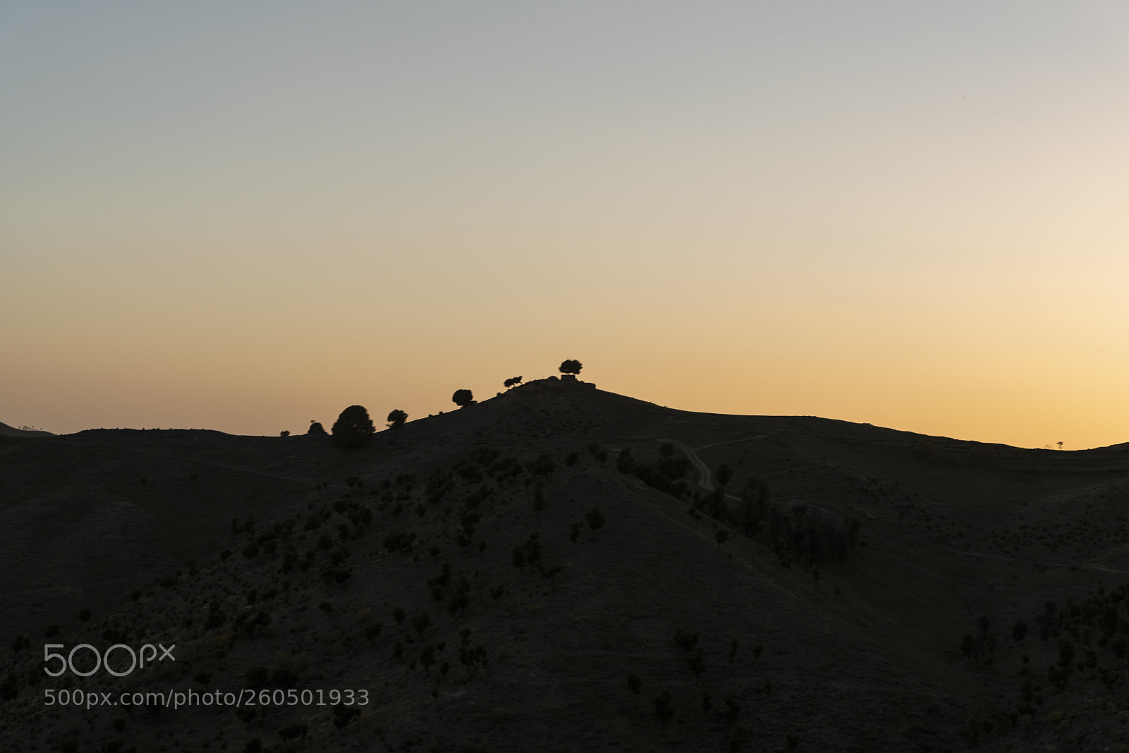 Nikon D750 sample photo. Silhouette photography